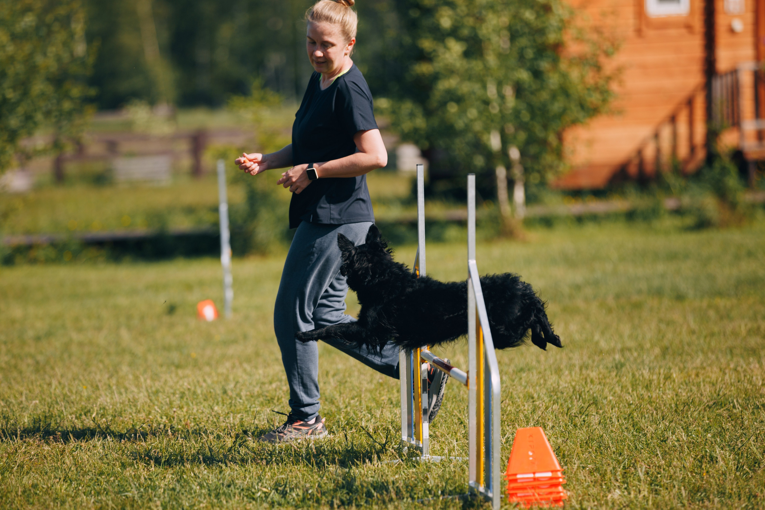Кинологический лагерь в Горыныче. Фотограф анималист Кристина Карпова, Москва
