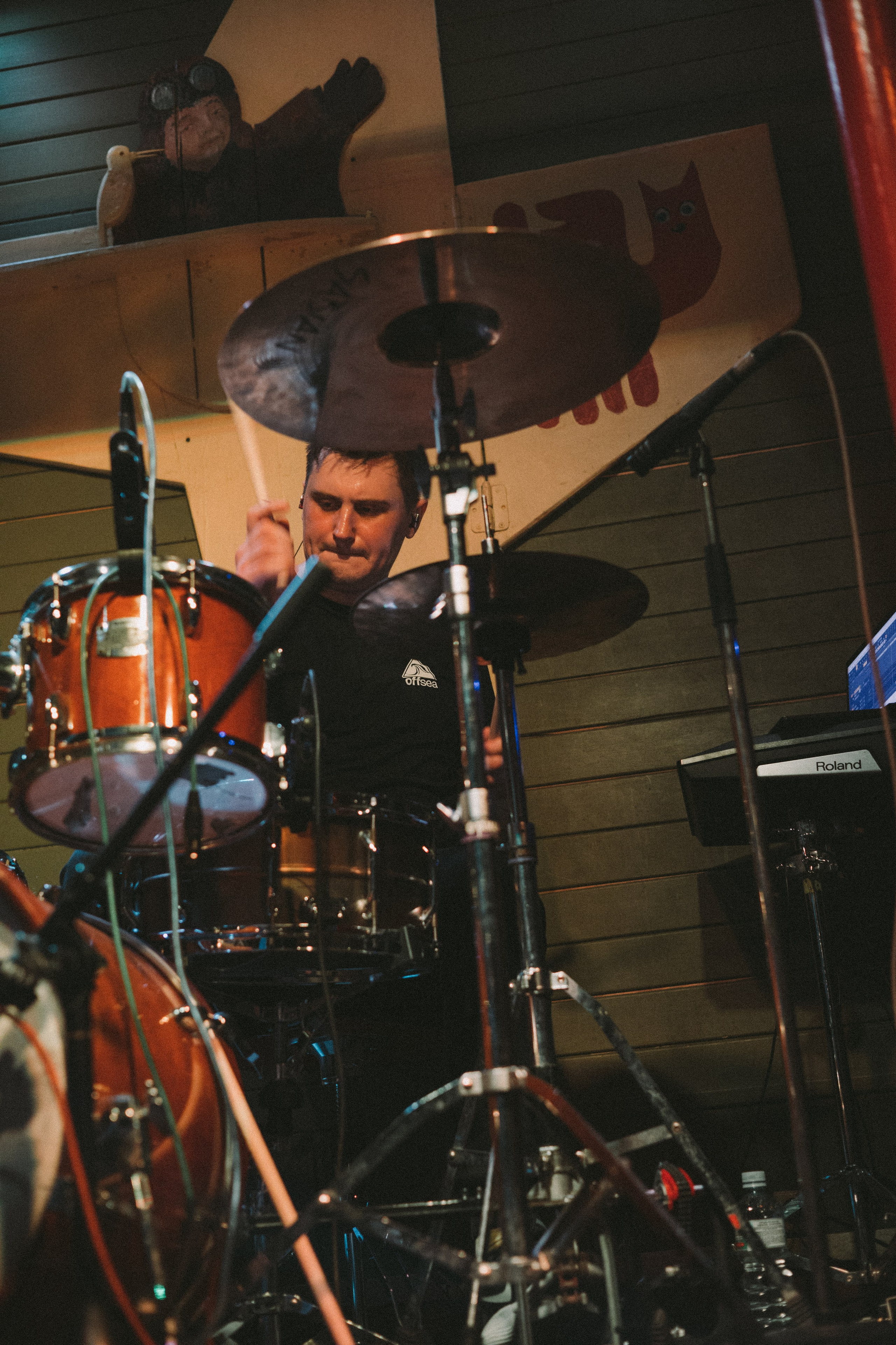 Revolta. Toxasnip Photo | Anton Maslenkin