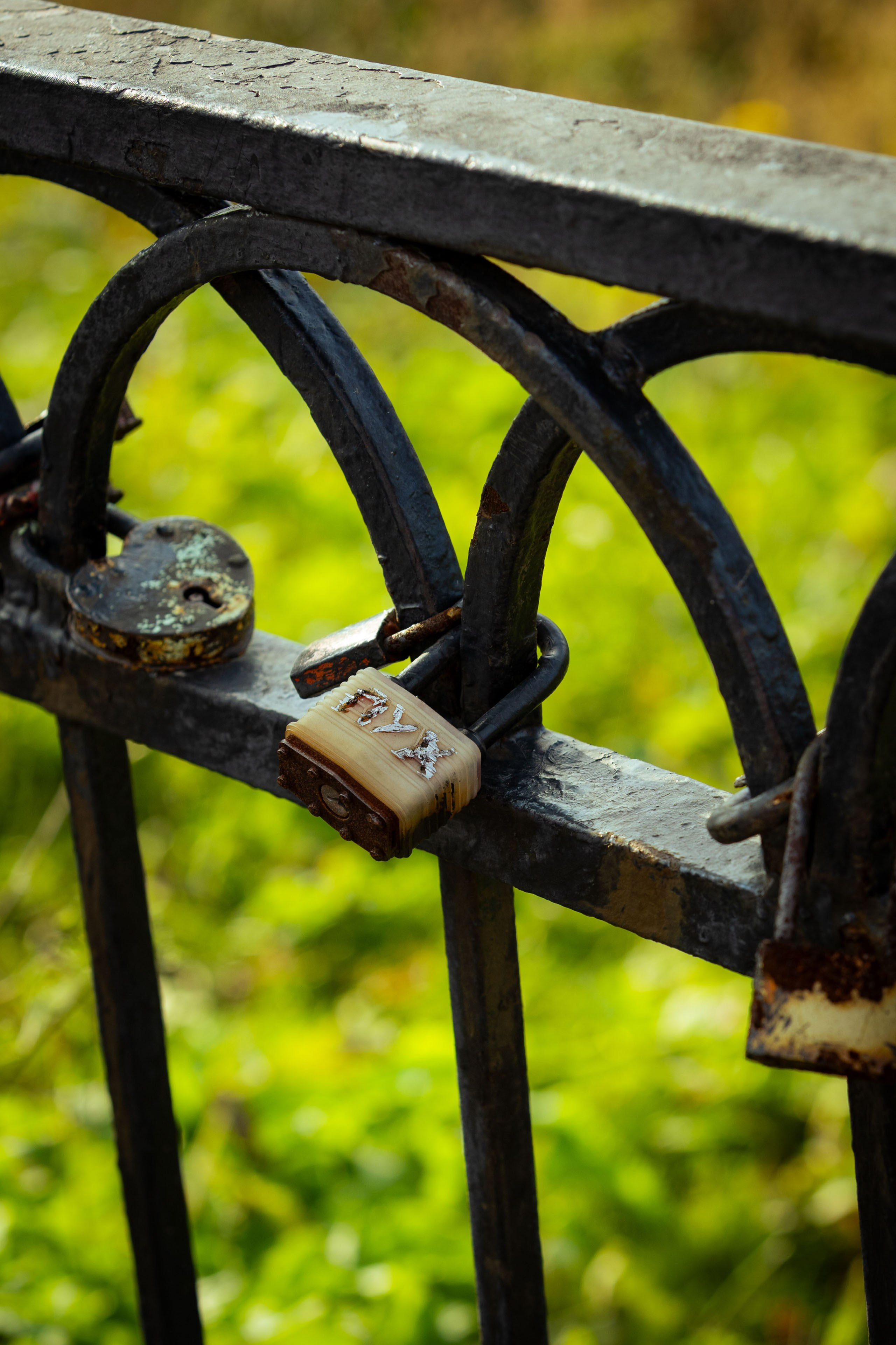 Кольский (осень 2025). Фотограф Виноградов Константин