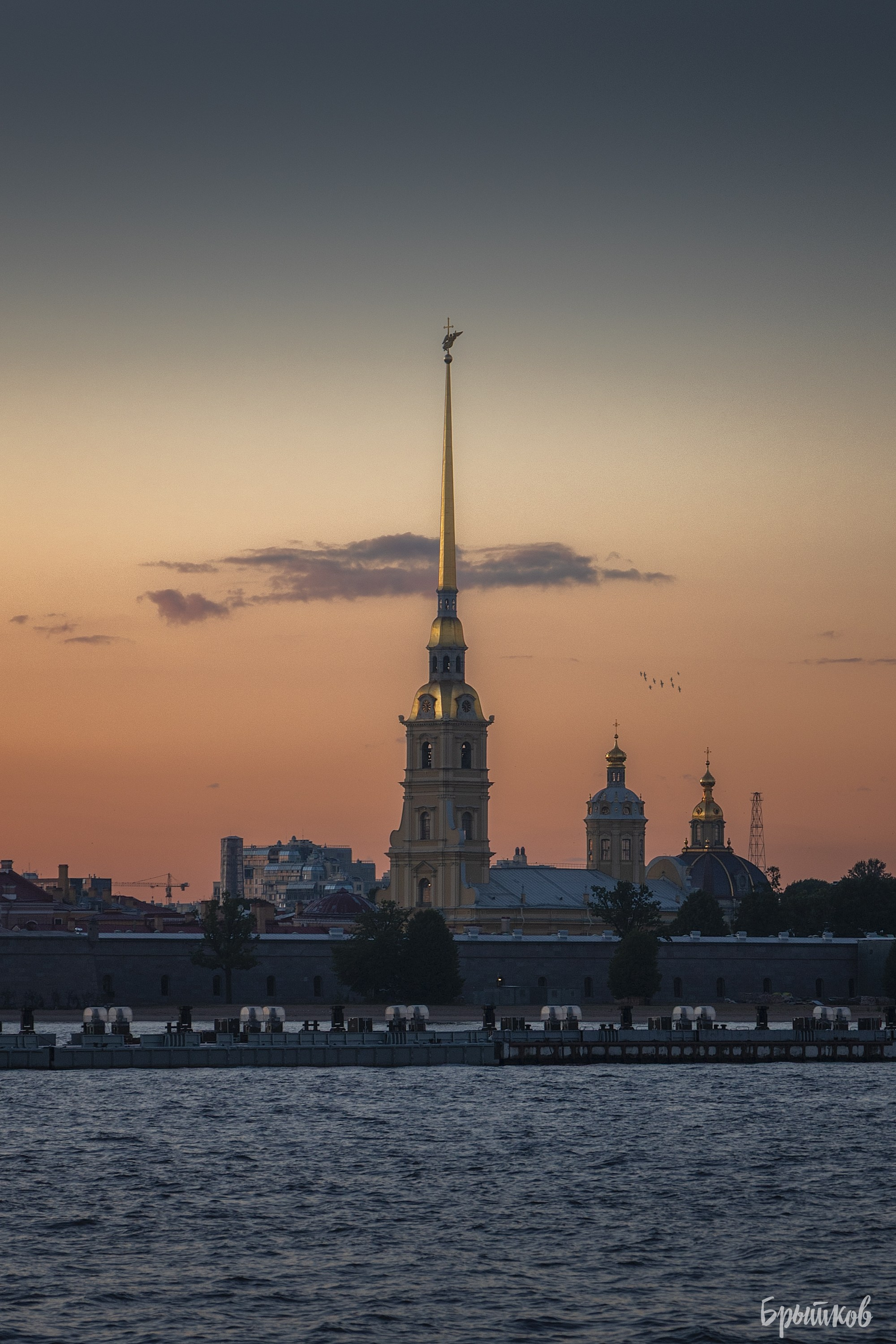 Санкт-Петербург. Николай Брытков — фотограф в Туле
