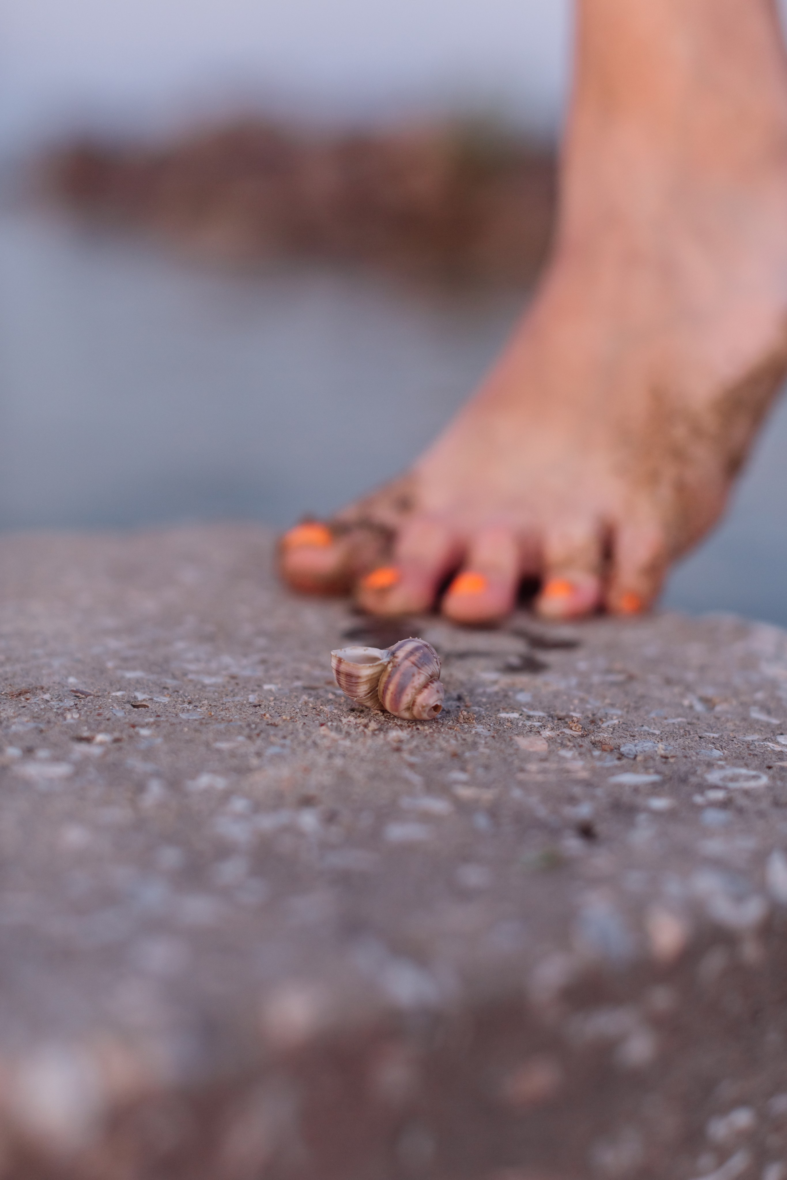 алёна малахова фотограф новосибирск семейный детский домашняя фотосессия в новосибирске день рождения репортажная съёмка фотосессия с лошадьми на конюшне деревня алтай  на природе фотосессия в детском саду мама и сын предложение руки и сердца идея  помолвка фотосессия берег закат детский день рождения годик торт аниматор лофт игровая продолжение следует prodoljenie_sleduet_  корпоратив тимбилдинг первоклашка линейка  контент  бизнес портрет оперный новат франция берет весна девушка мама и дочь мать и дитя