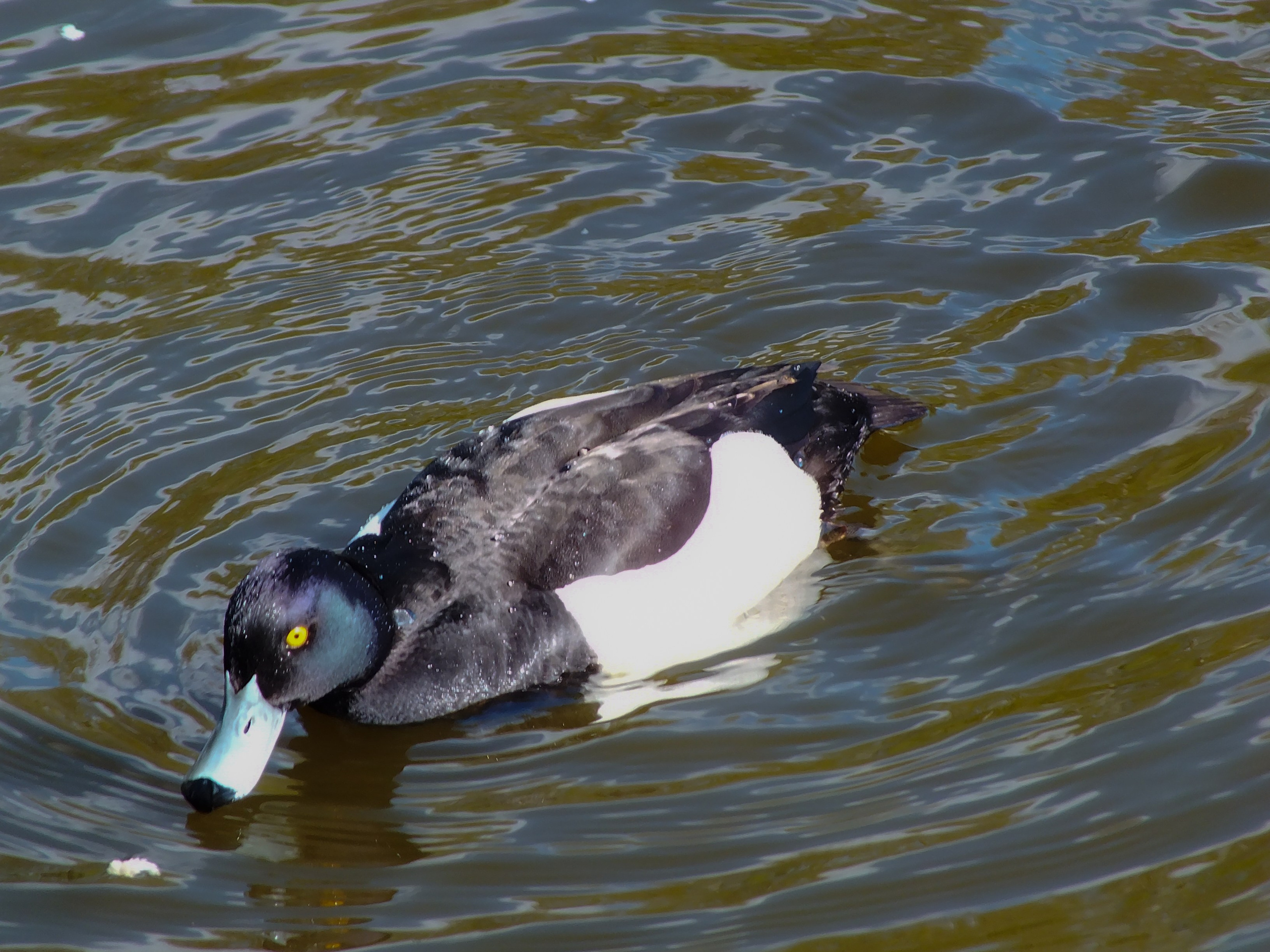 Fuji. Портретный фотограф DanilNabody