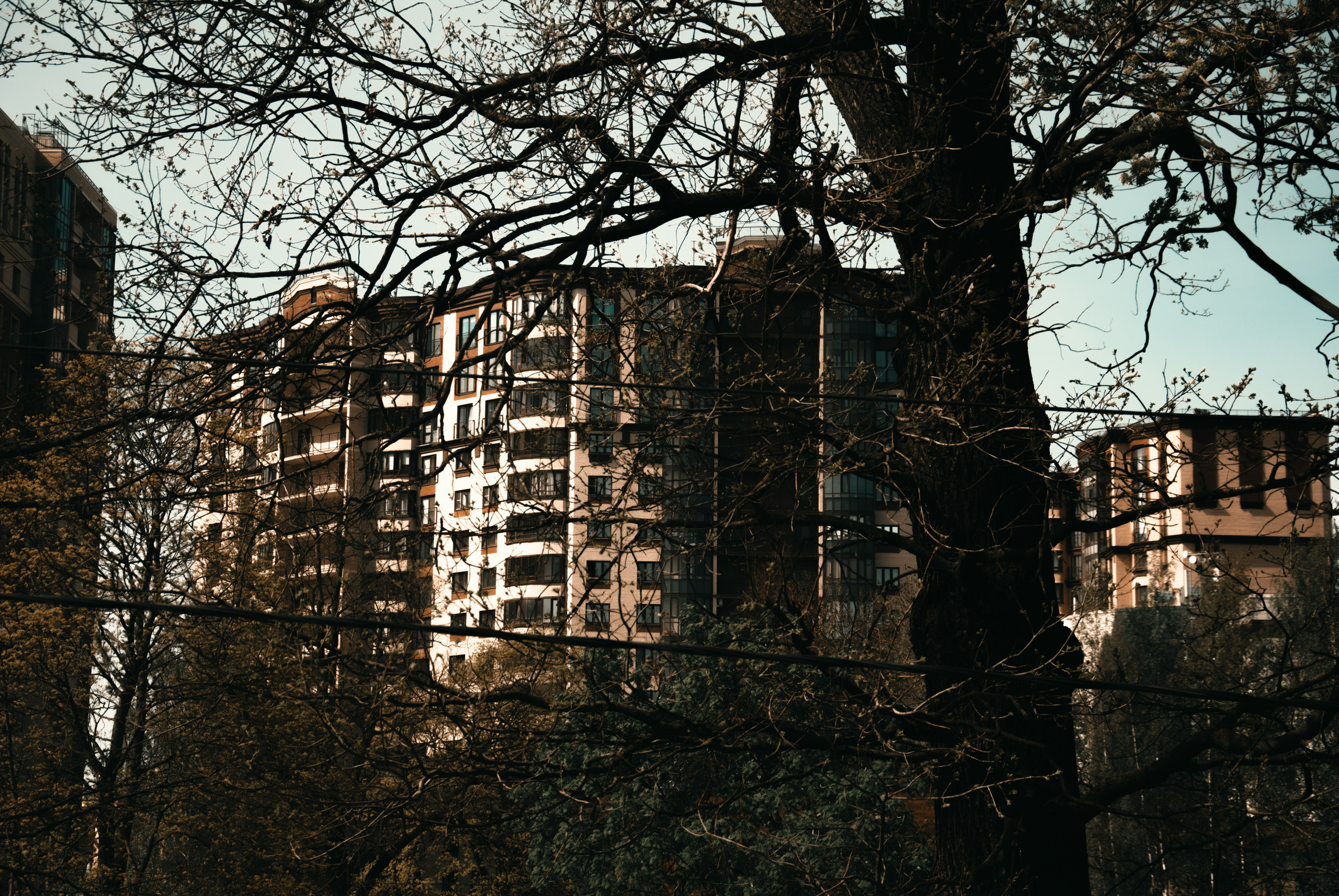 Выборг. Портретный фотограф DanilNabody