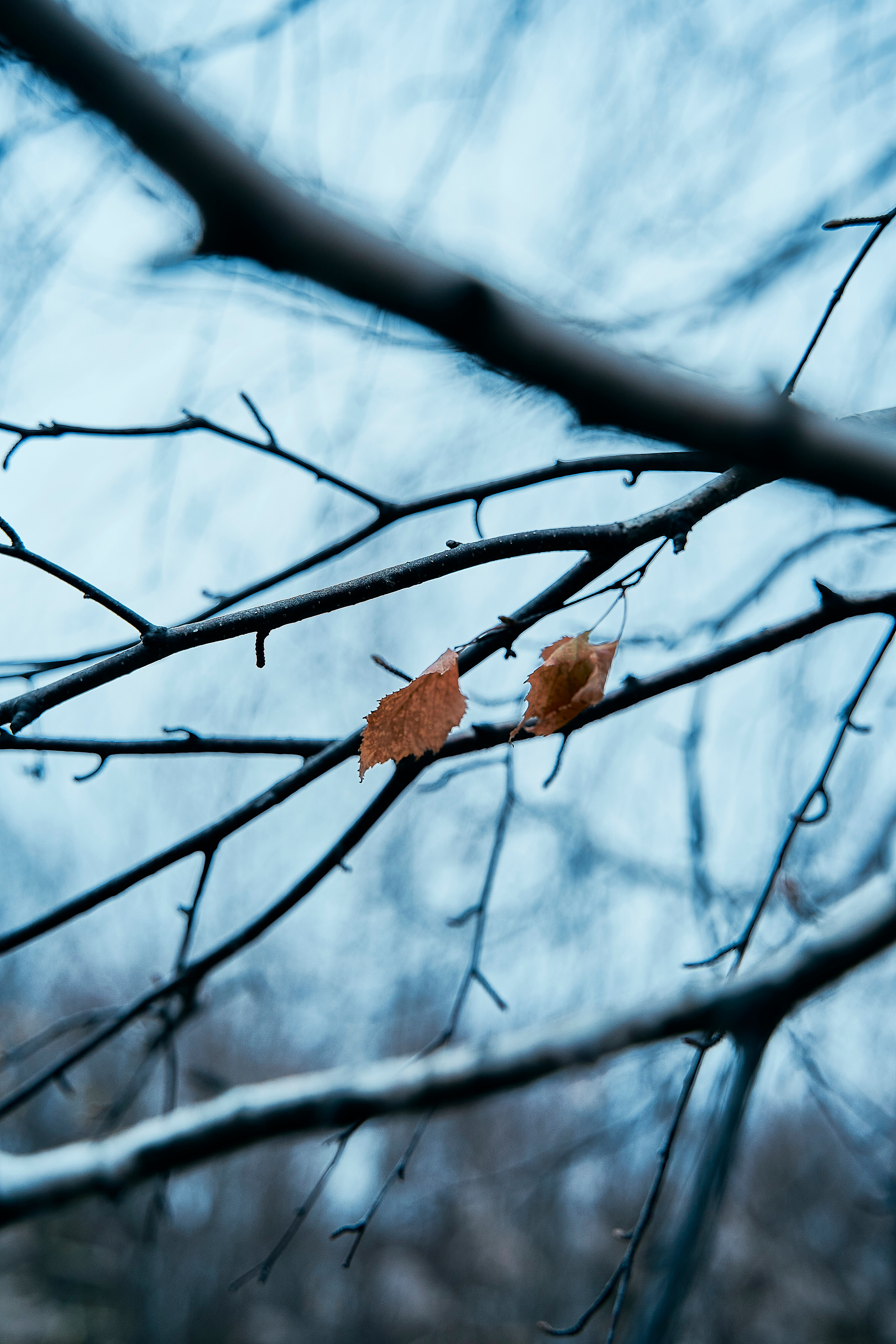 София. Фотограф Вика Фадина, Екатеринбург