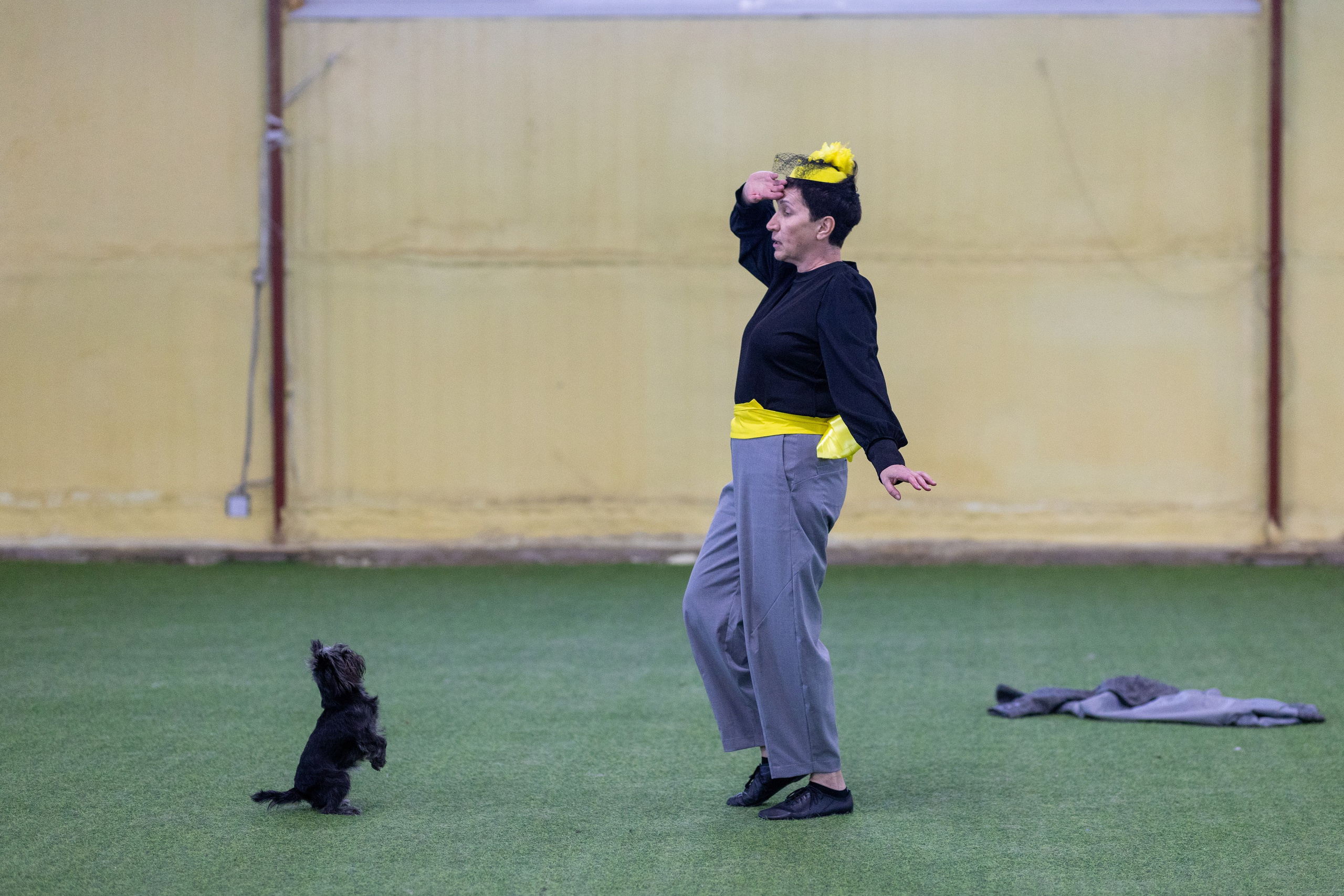 Соревнования танцы. Фотограф-анималист в Москве Кириллова Татьяна