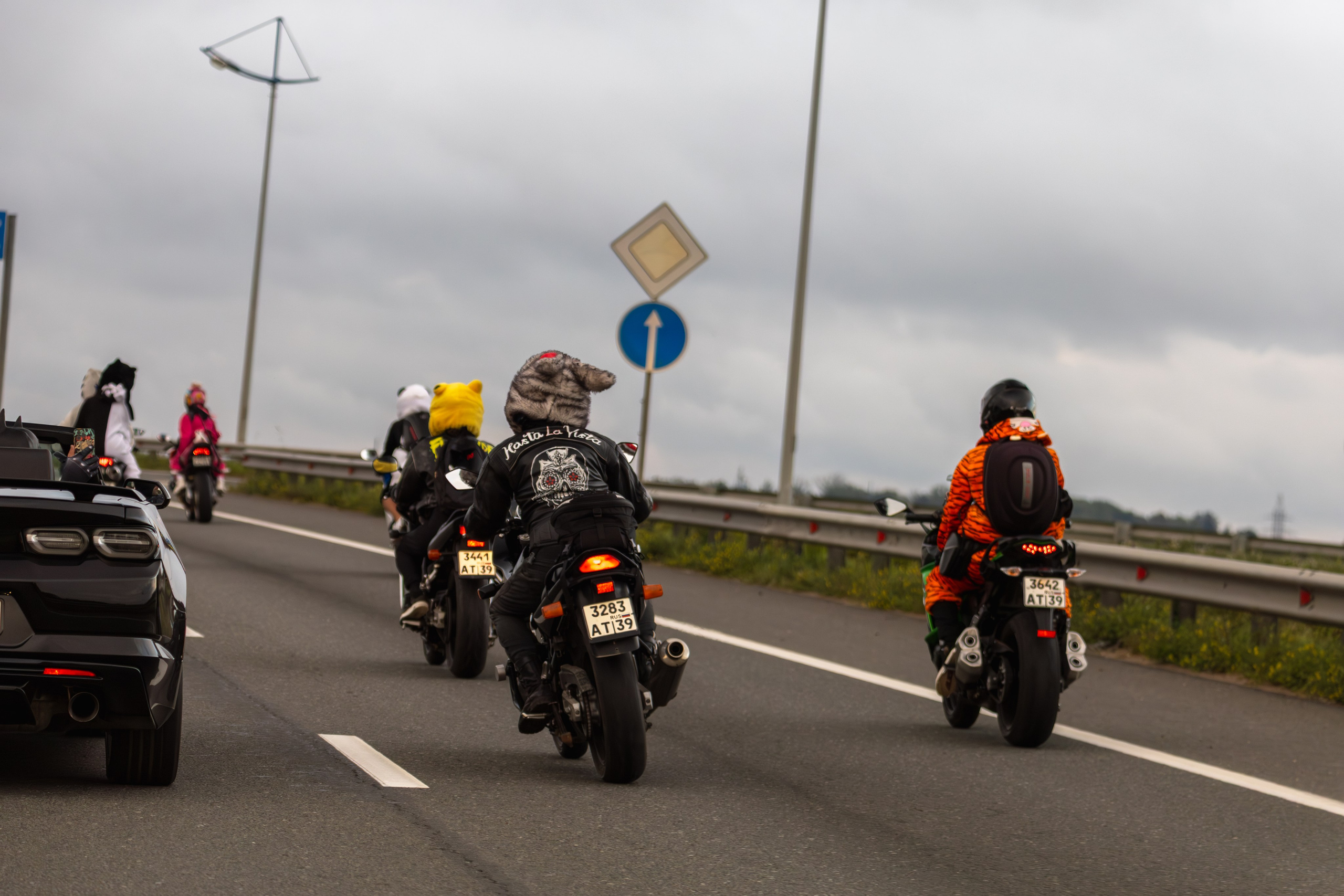 Закрытие Летнего сезона — 2025. — Digital Noise —