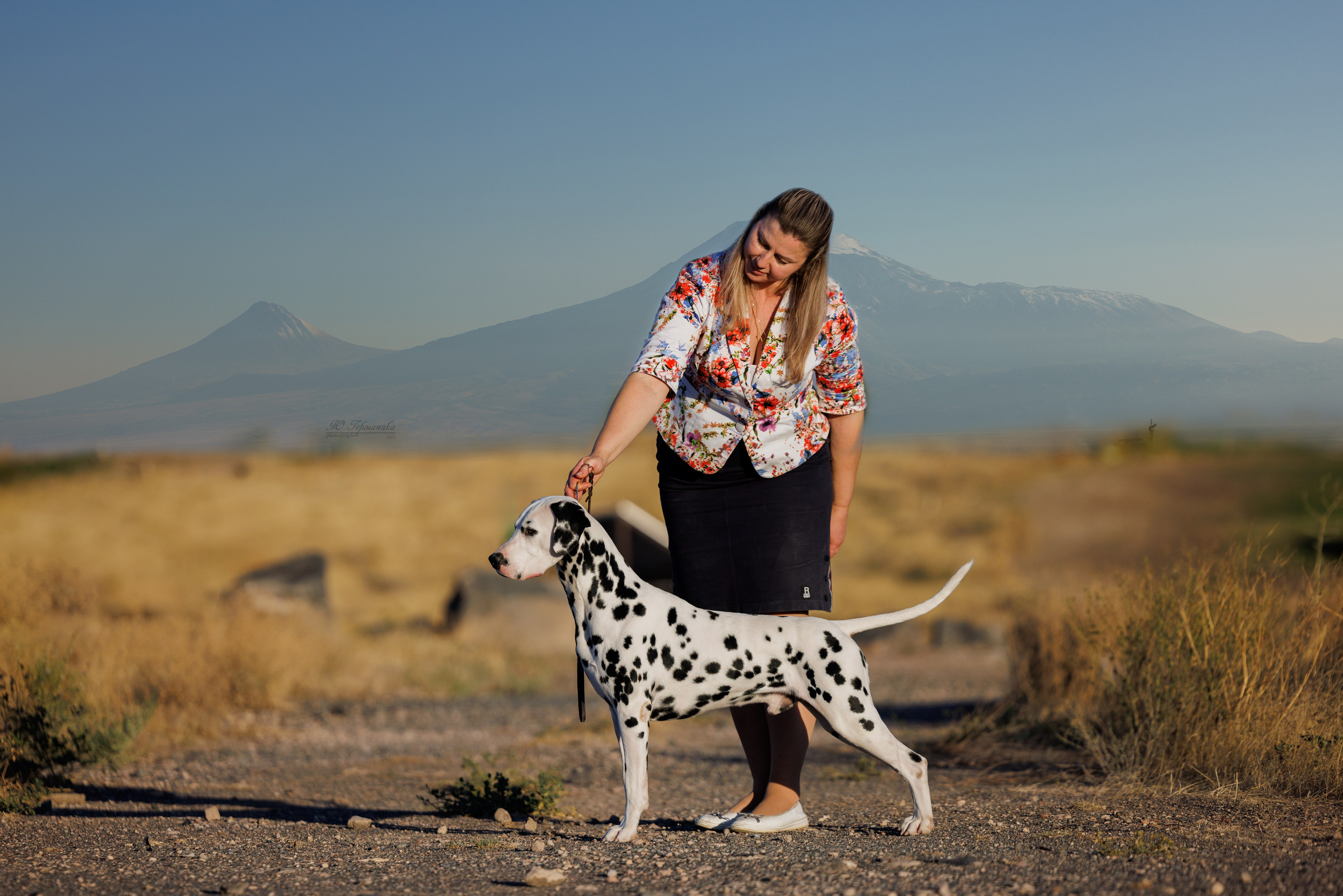Ереван 14-16.10.2025. Фотограф-анималист Юлия Германика