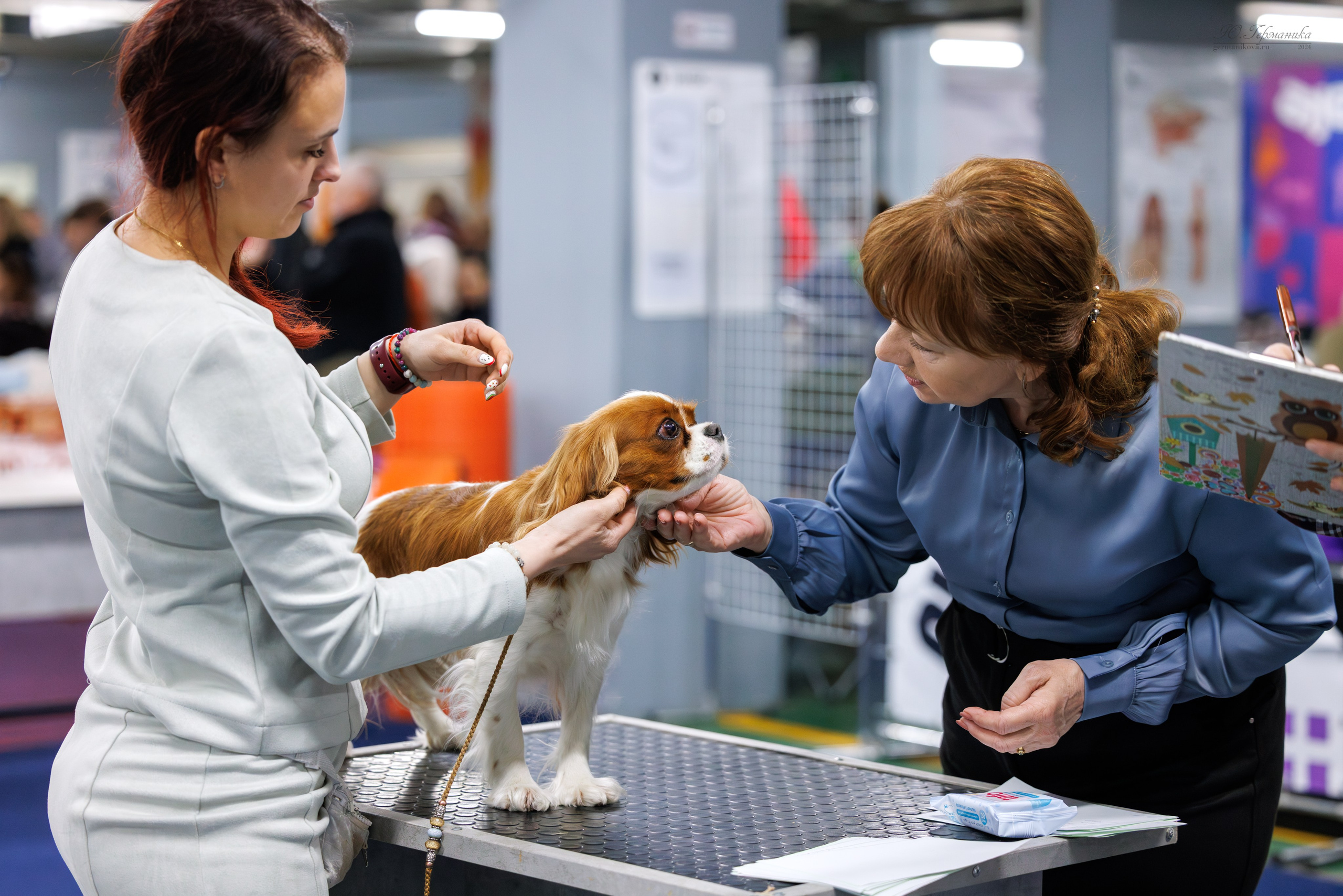 Сфера 06.04.2025. Фотограф-анималист Юлия Германика
