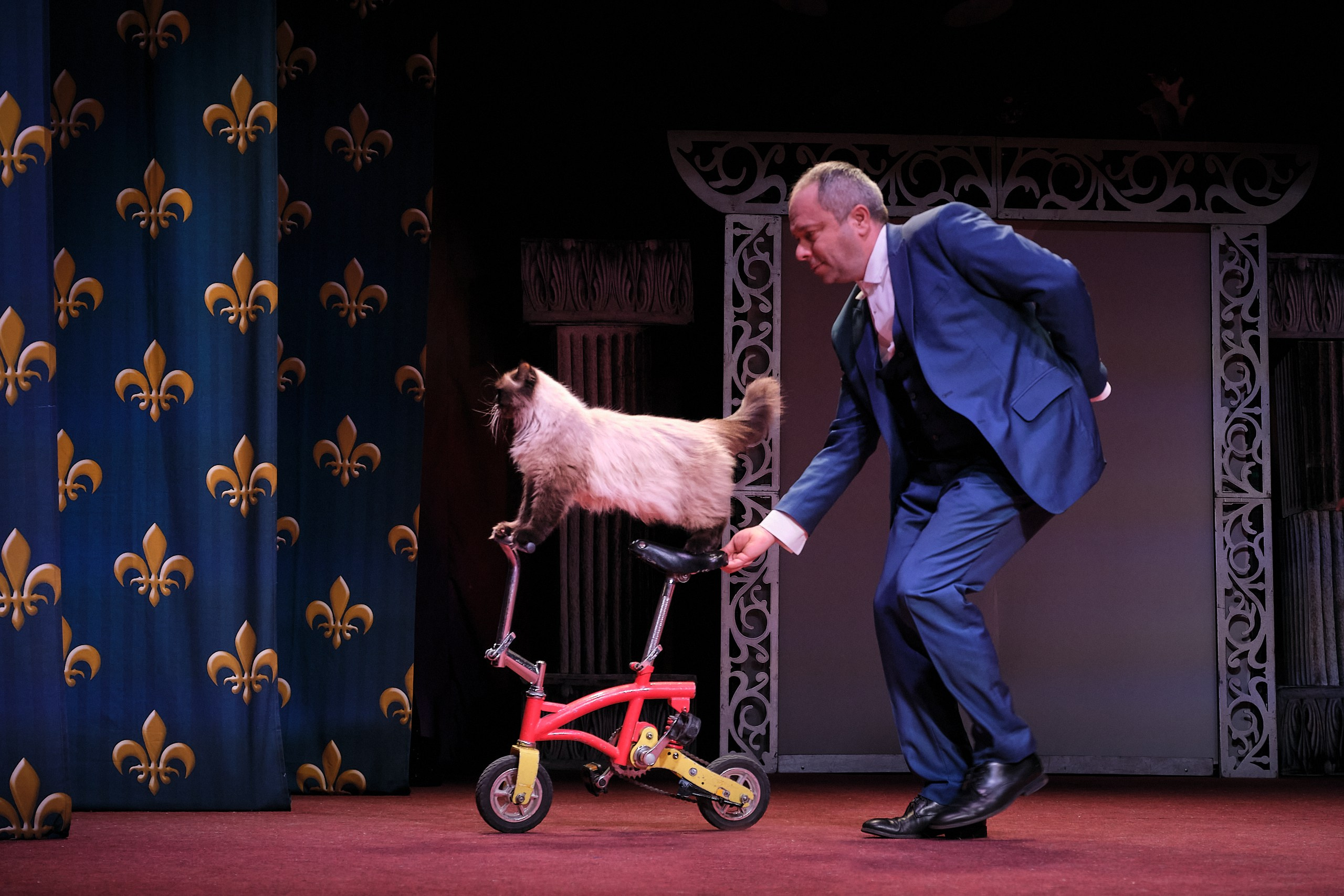 Пресс-конференция Ю.Куклачева в театре кошек