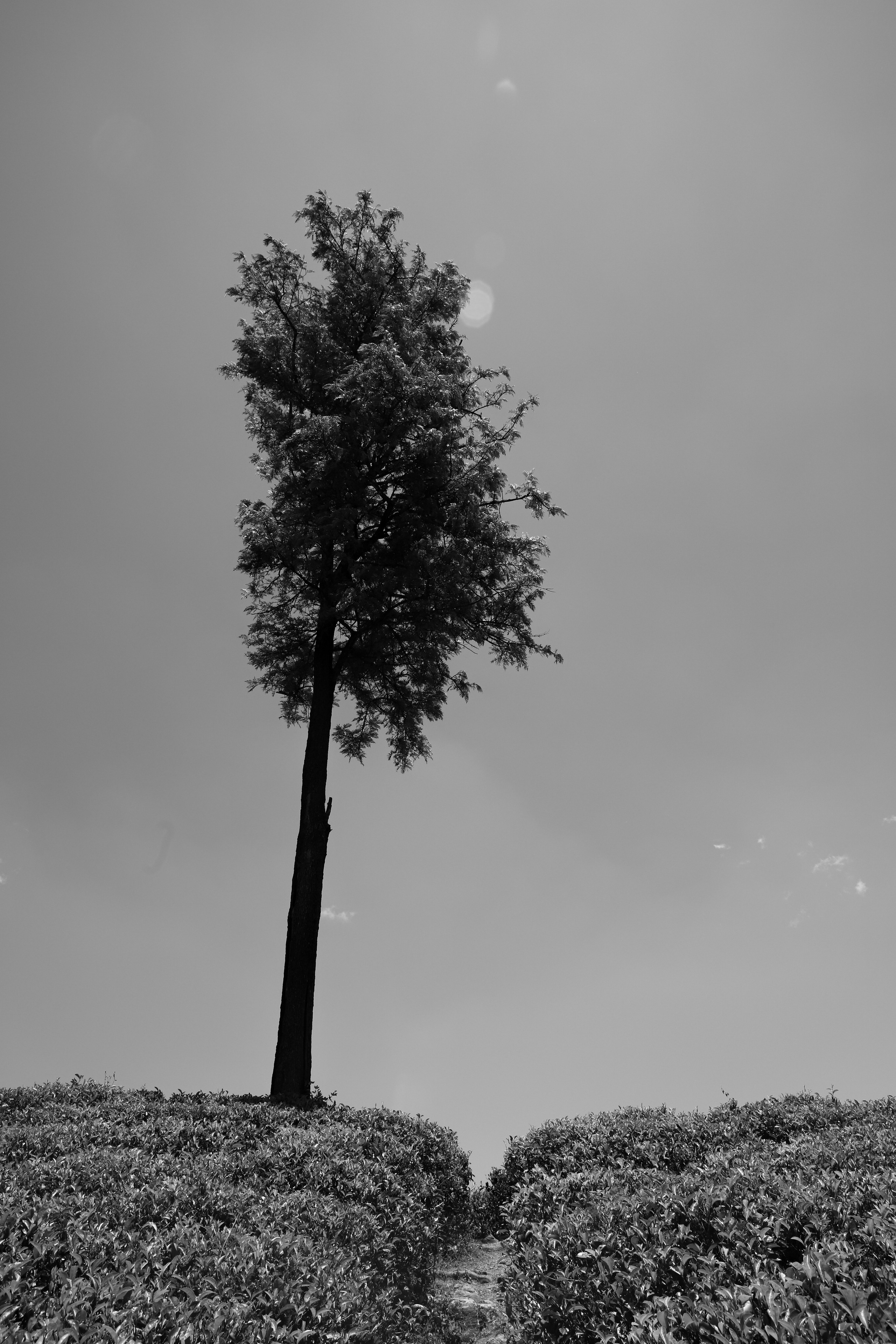 /все что вокруг. Kristina Rashkovskaya