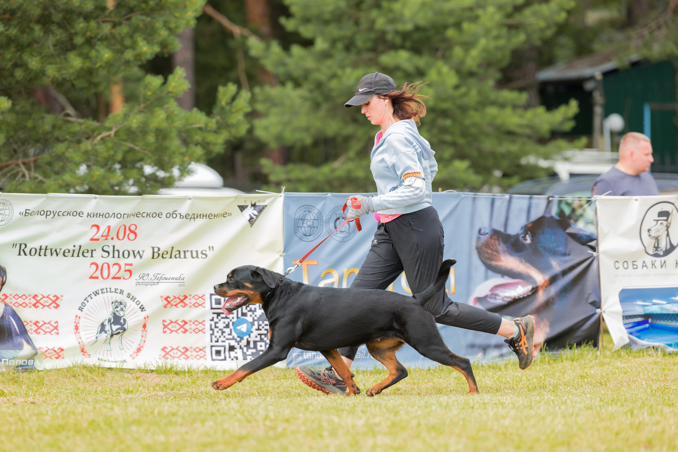 Тверь ротвейлеры 5-6.07.2025. Фотограф-анималист Юлия Германика