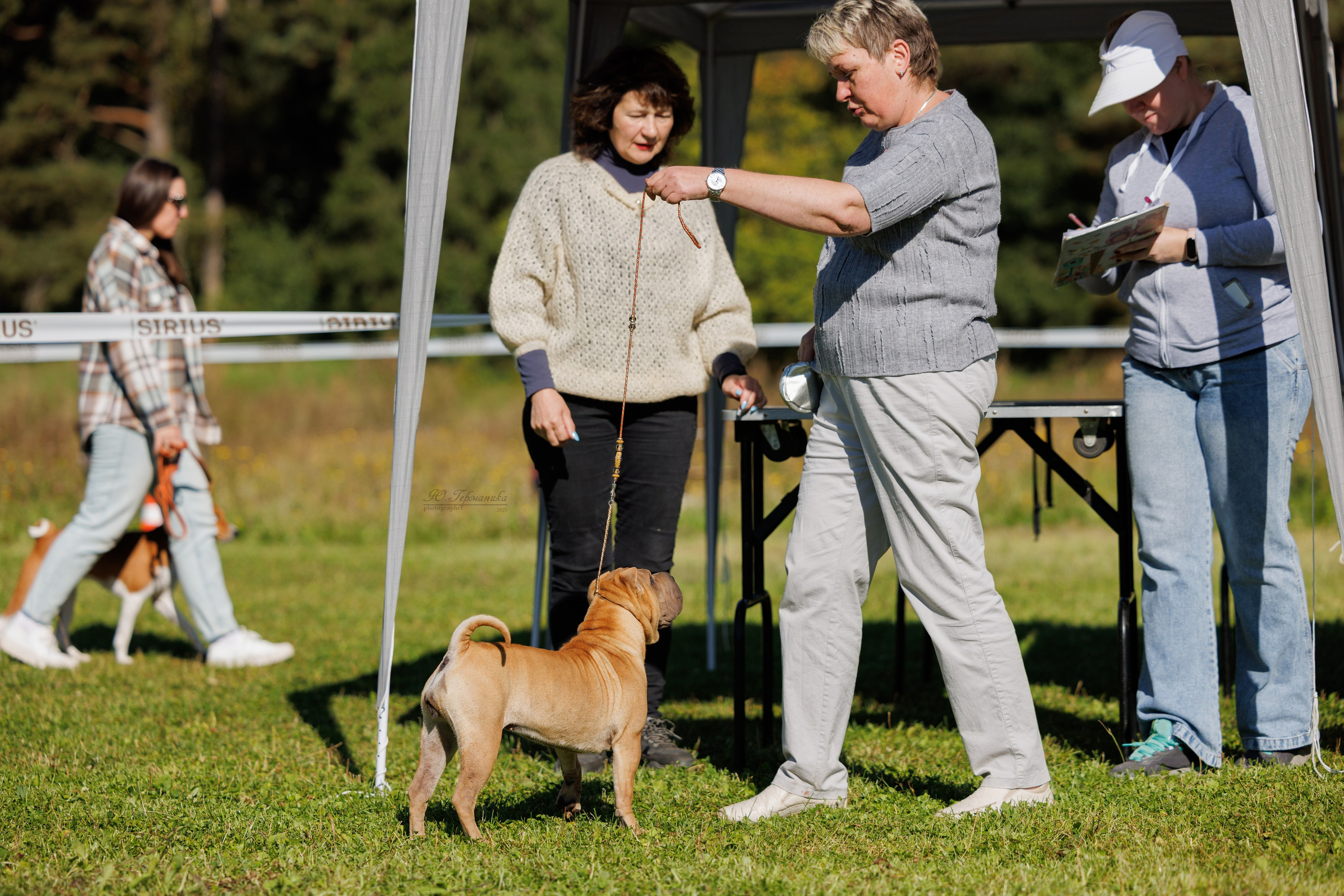 Зеленоград 13.09.2025. Фотограф-анималист Юлия Германика