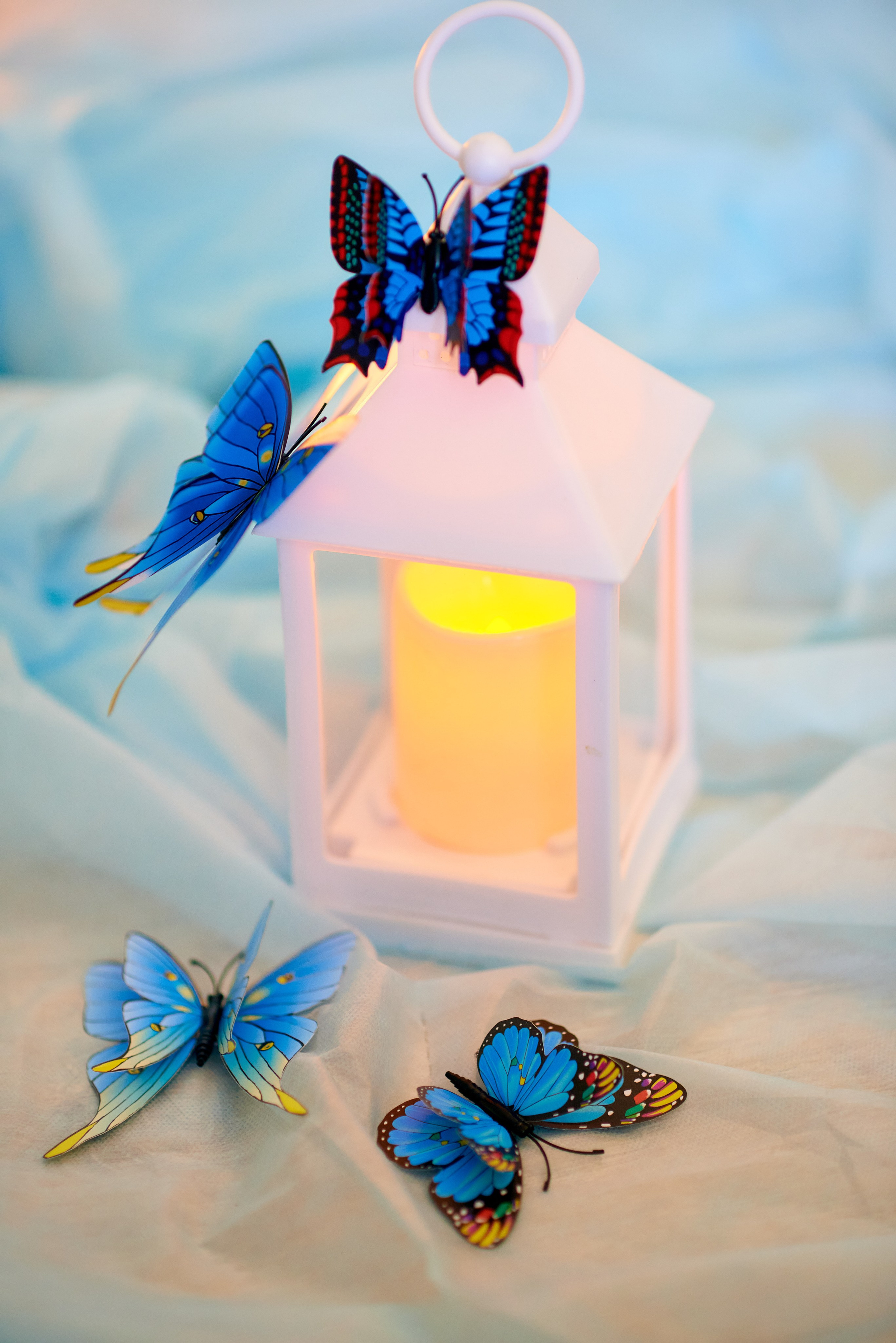 Фотопроект «Бабочки». Семейный и детский фотограф в г. Ногинске Ангелина Хасанова