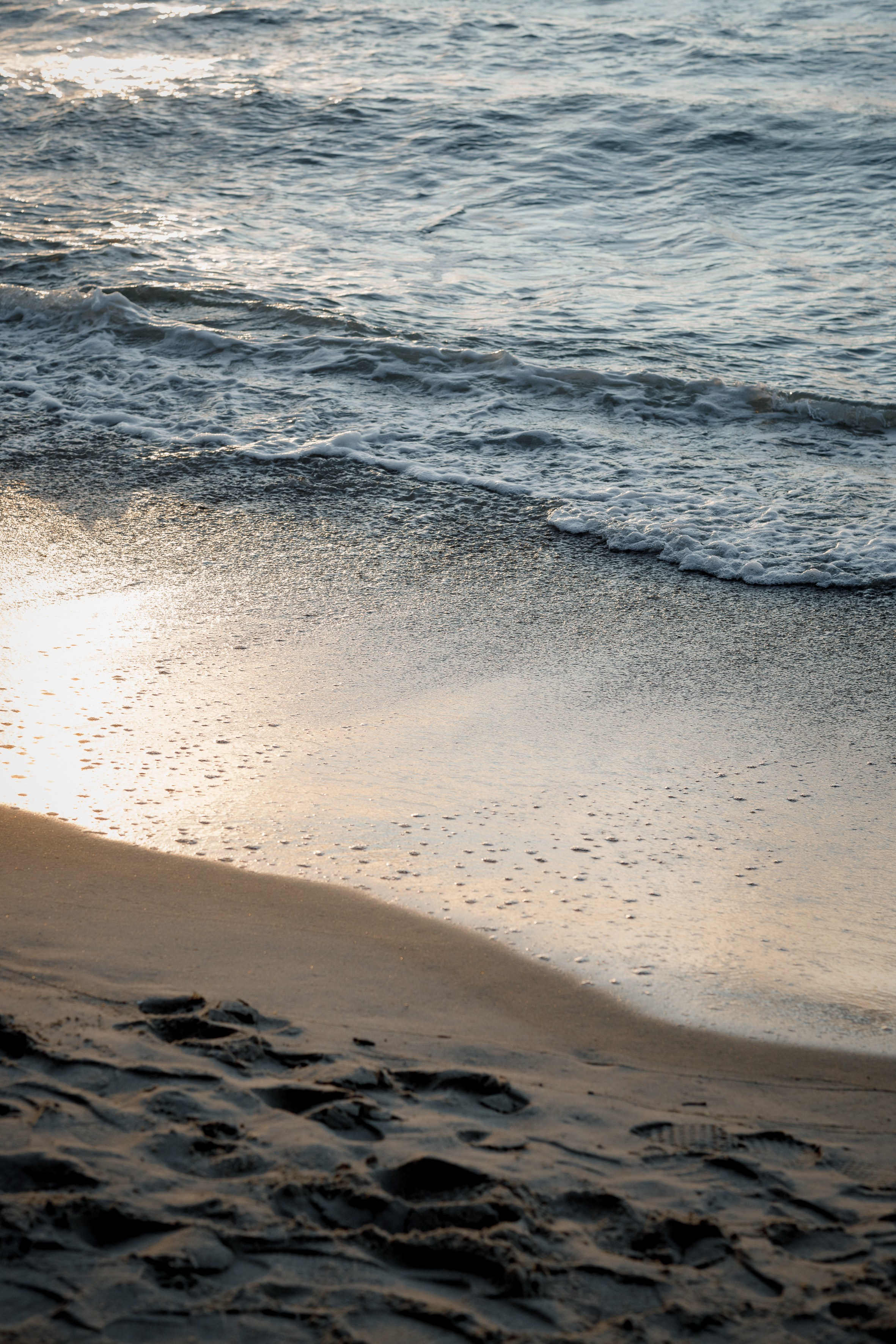 Семейная прогулка. Свадебный фотограф Татьяна Аберле свадебный видеограф Роман Аберле Калининград