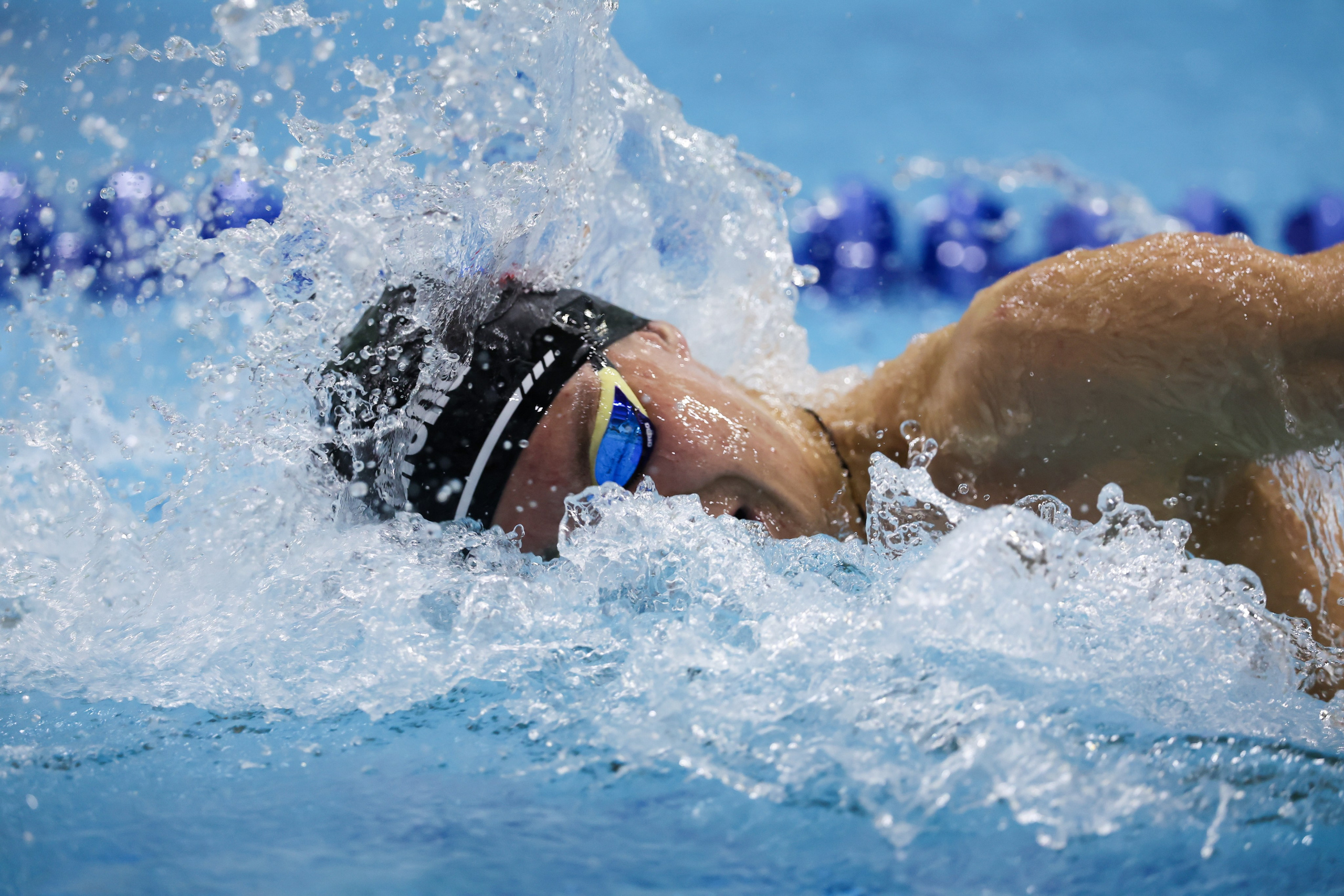 Чемпионат России по плаванию 25 м 21-26.11.2024. Спортивный и репортажный фотограф Антон Тереханов