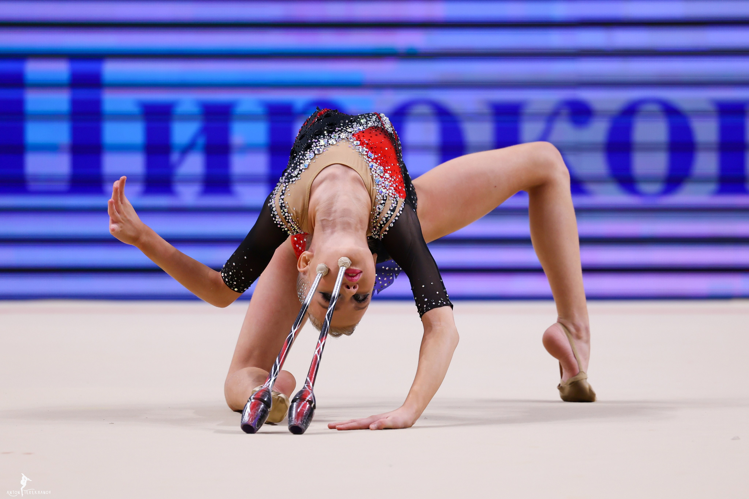 Первенство Санкт-Петербурга 2025. Спортивный и репортажный фотограф Антон Тереханов