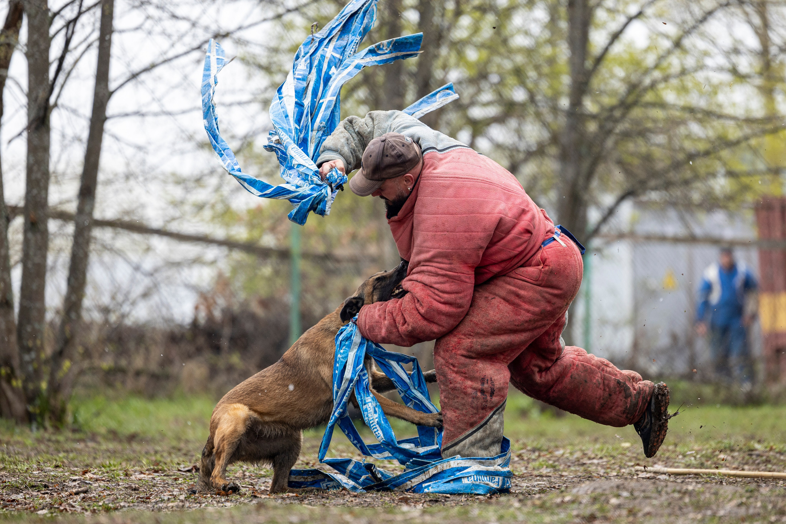 Квалификационные состязания по мондьорингу г. Вологда 11.05.24. Фотограф-анималист Анна Маринич