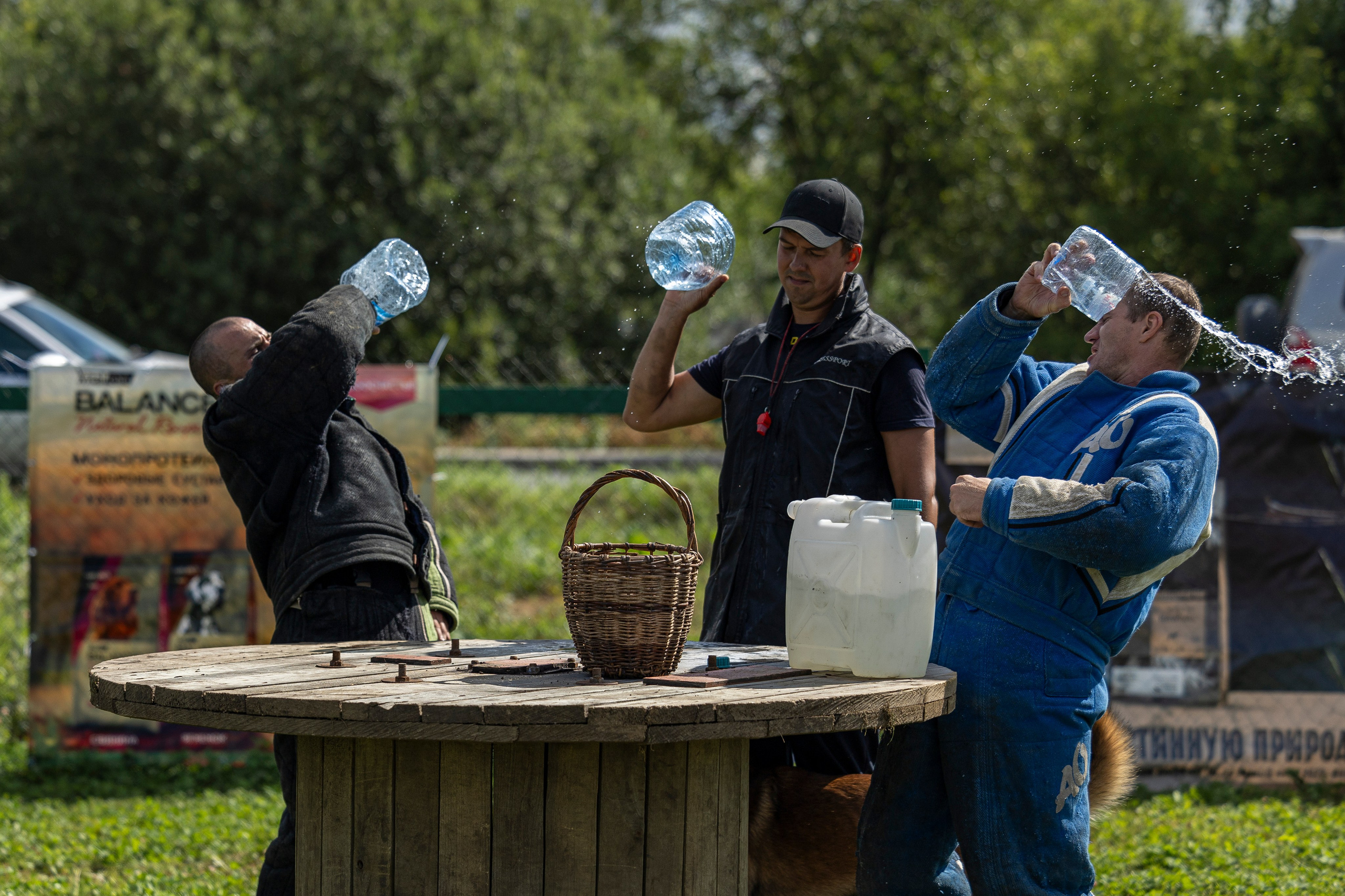 Соревнования по Мондьорингу г. Вологда 10-11.08.2024. Фотограф-анималист Анна Маринич
