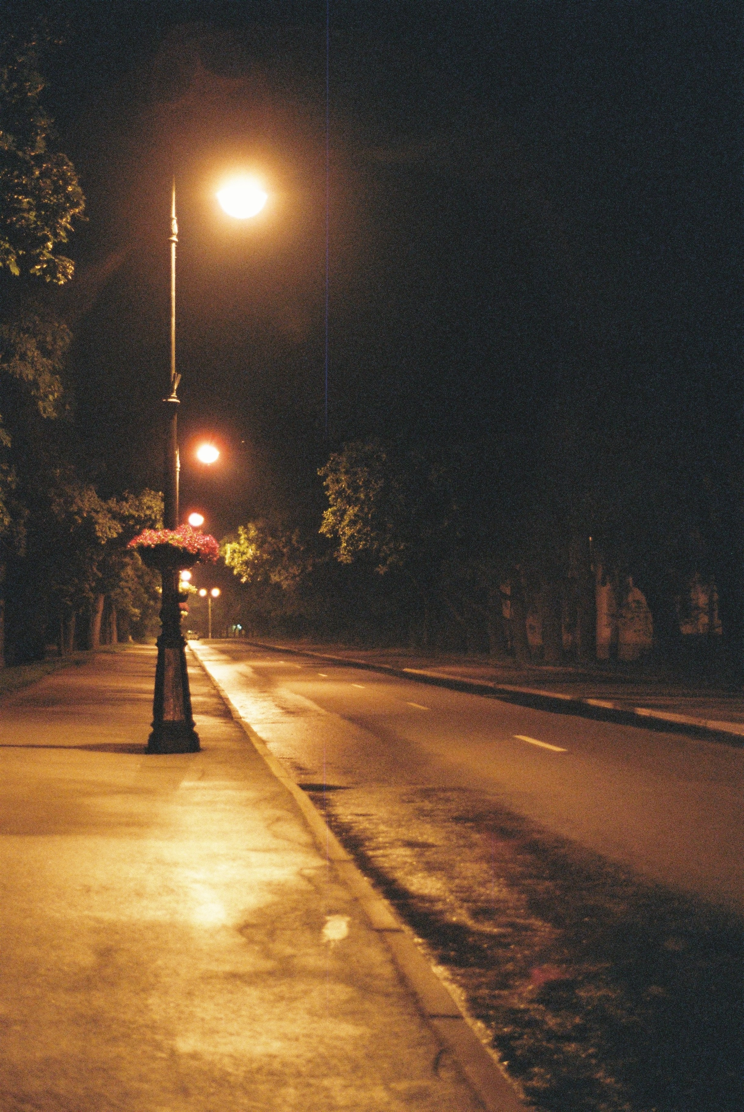 Film. Ruslan UI Dev Page