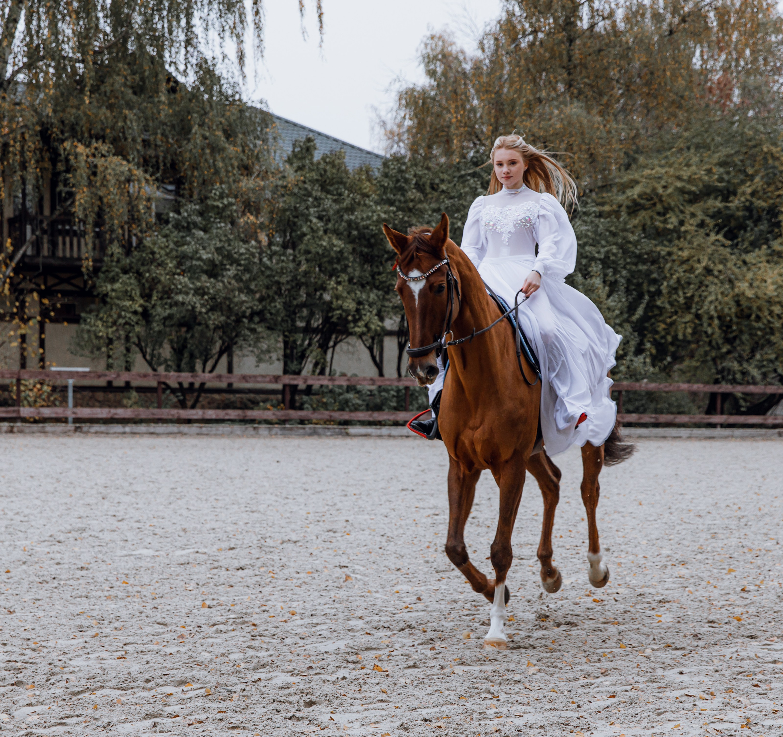 Диана конный клуб «Белая дача». Портретный и семейный фотограф в Москве Ирина Голубчина