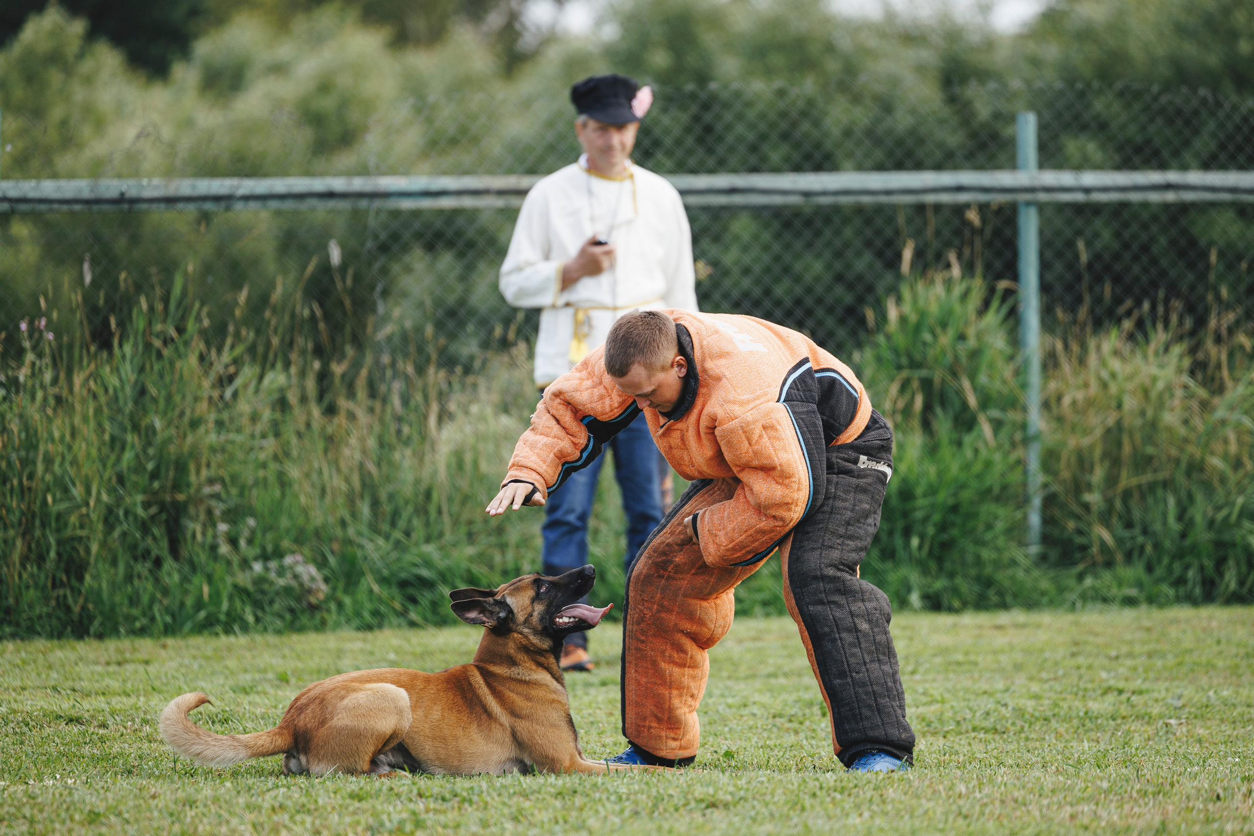 08.08.25-10.08.25 ЧР по мондьорингу г. Вологда. Фотограф-анималист Анна Маринич