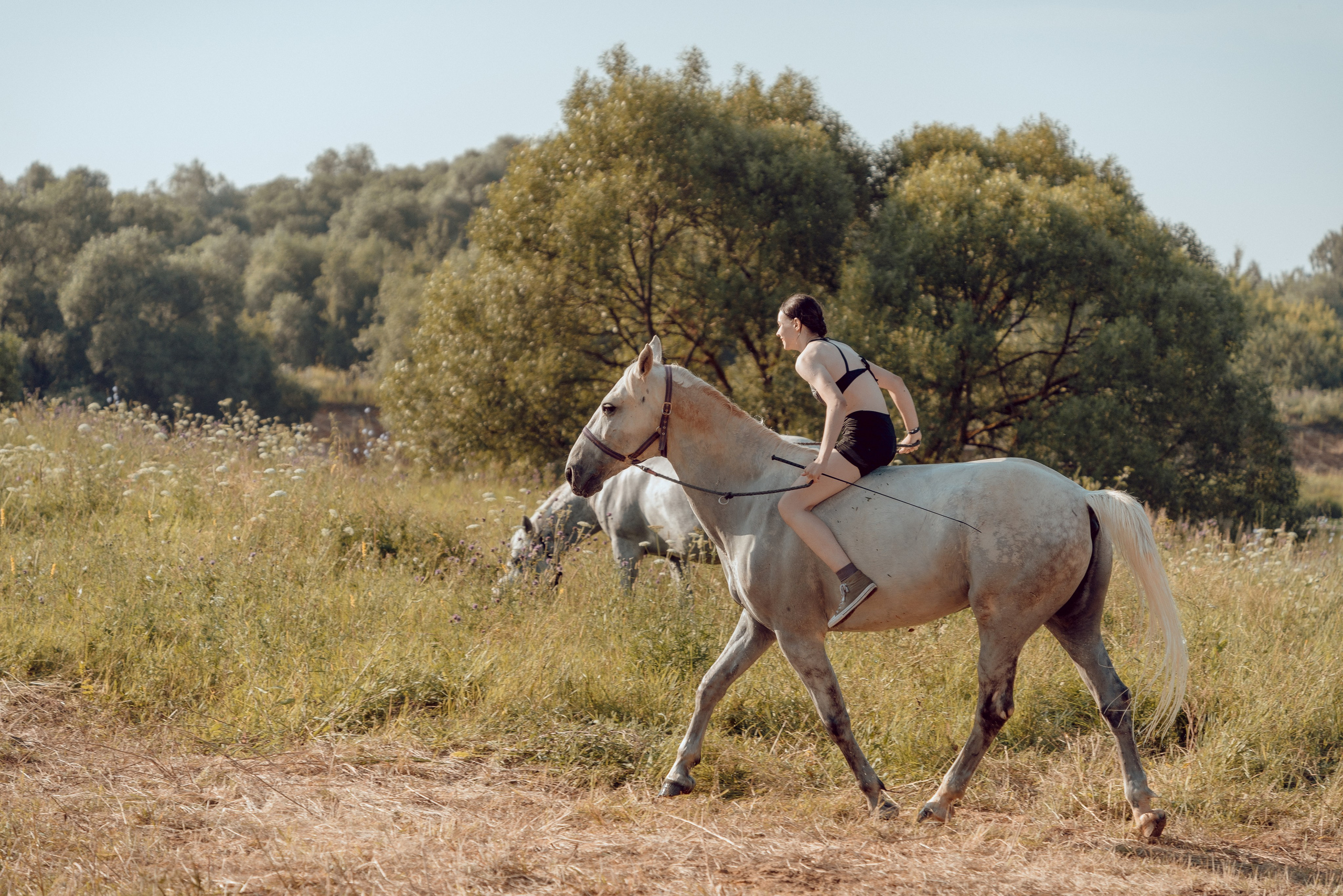 Купание лошадей 05.07.2024. Портретный и семейный фотограф в Москве/Видное