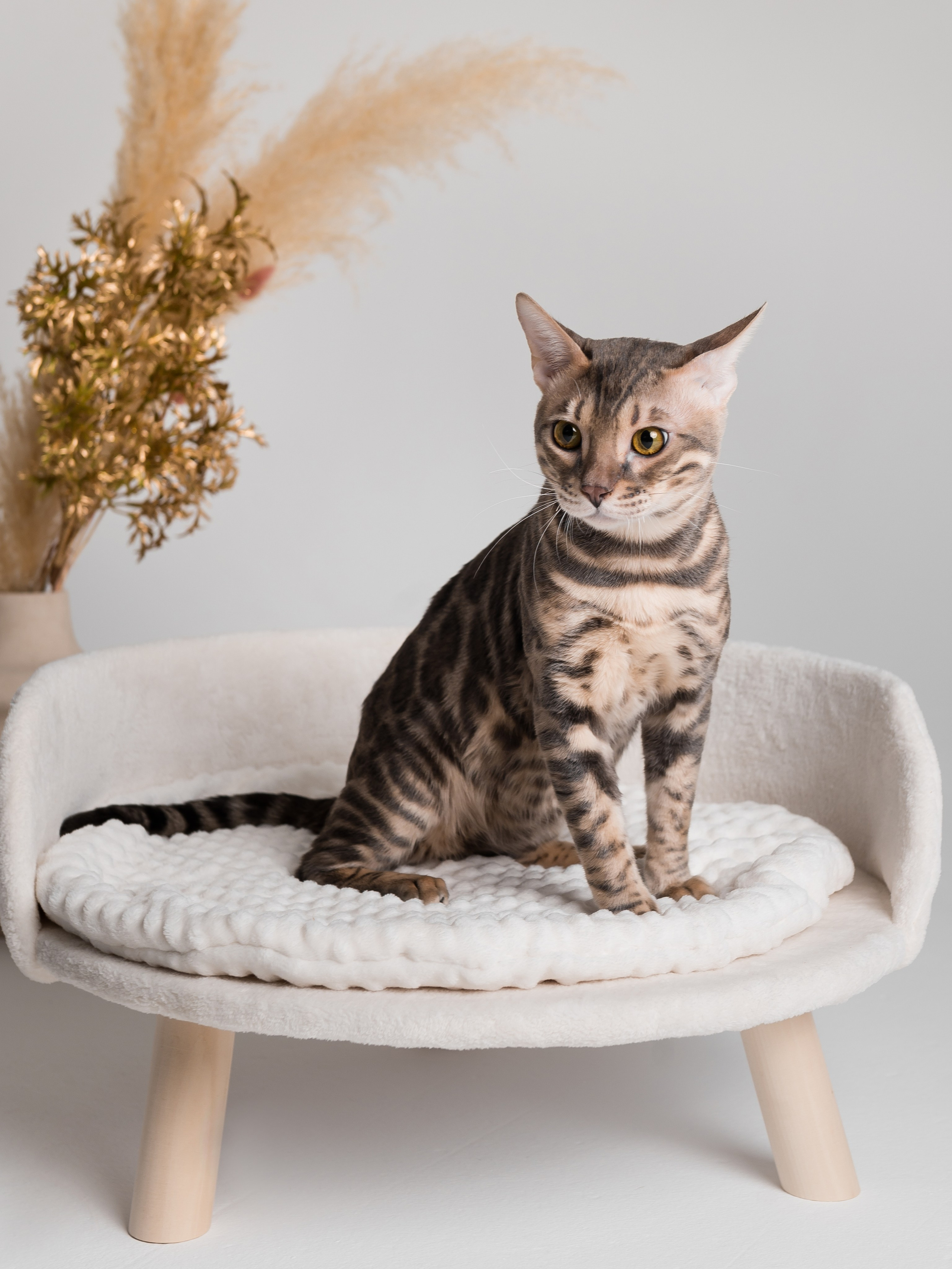 Съемка для WB и Ozon. Фотограф Егоров Констанин