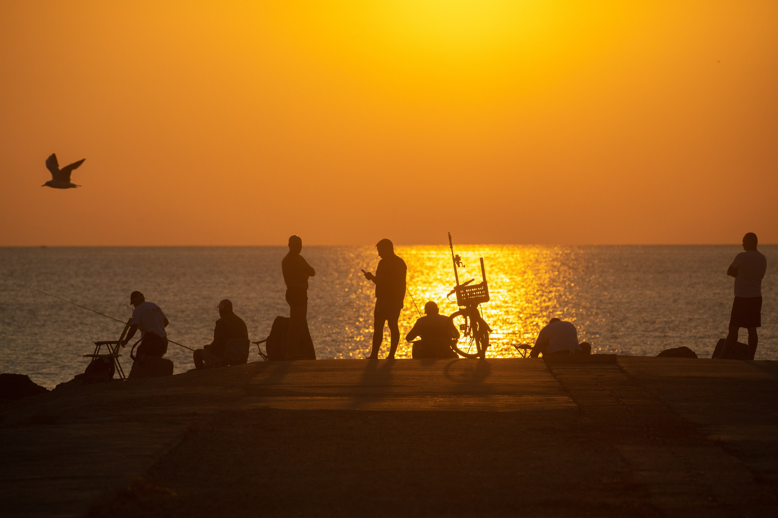 События, происшествия и повседневная жизнь. Виктор Вытольский —репортажный и событийный фотограф в Москве