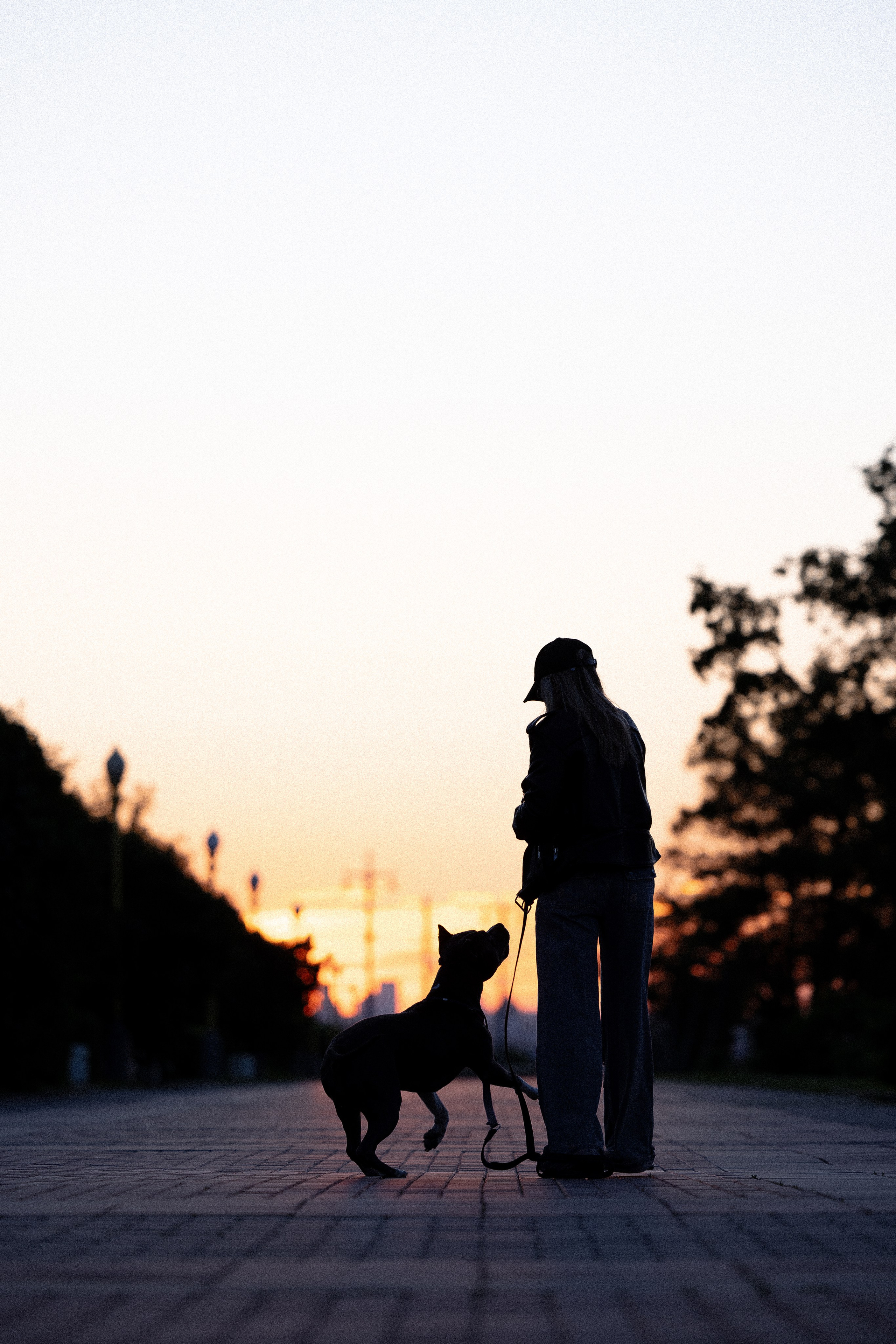 Катя, Леша, Лея и Трой. Фотограф и видеограф анималист Аганина Дарья