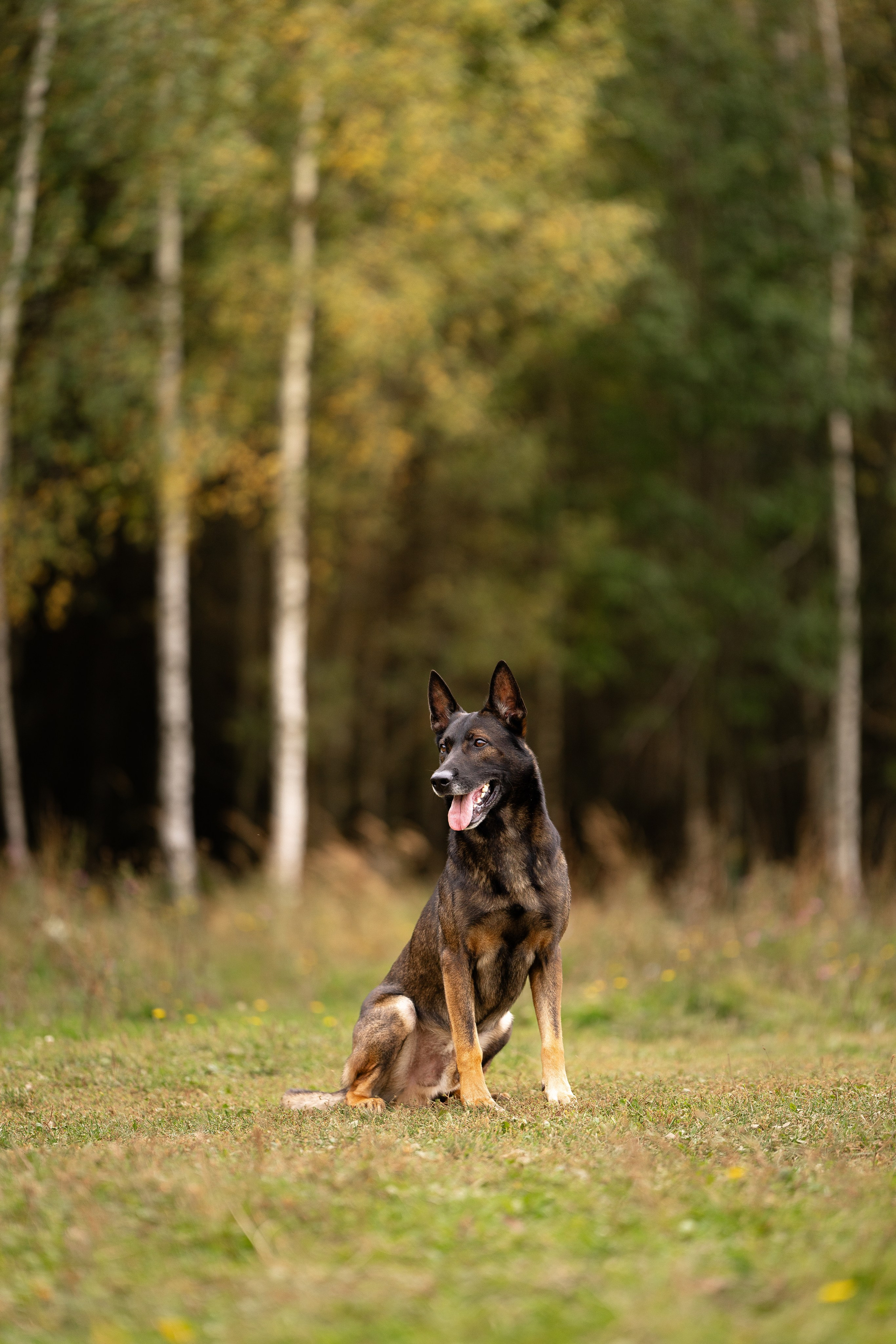 Макс. Фотограф и видеограф анималист Аганина Дарья