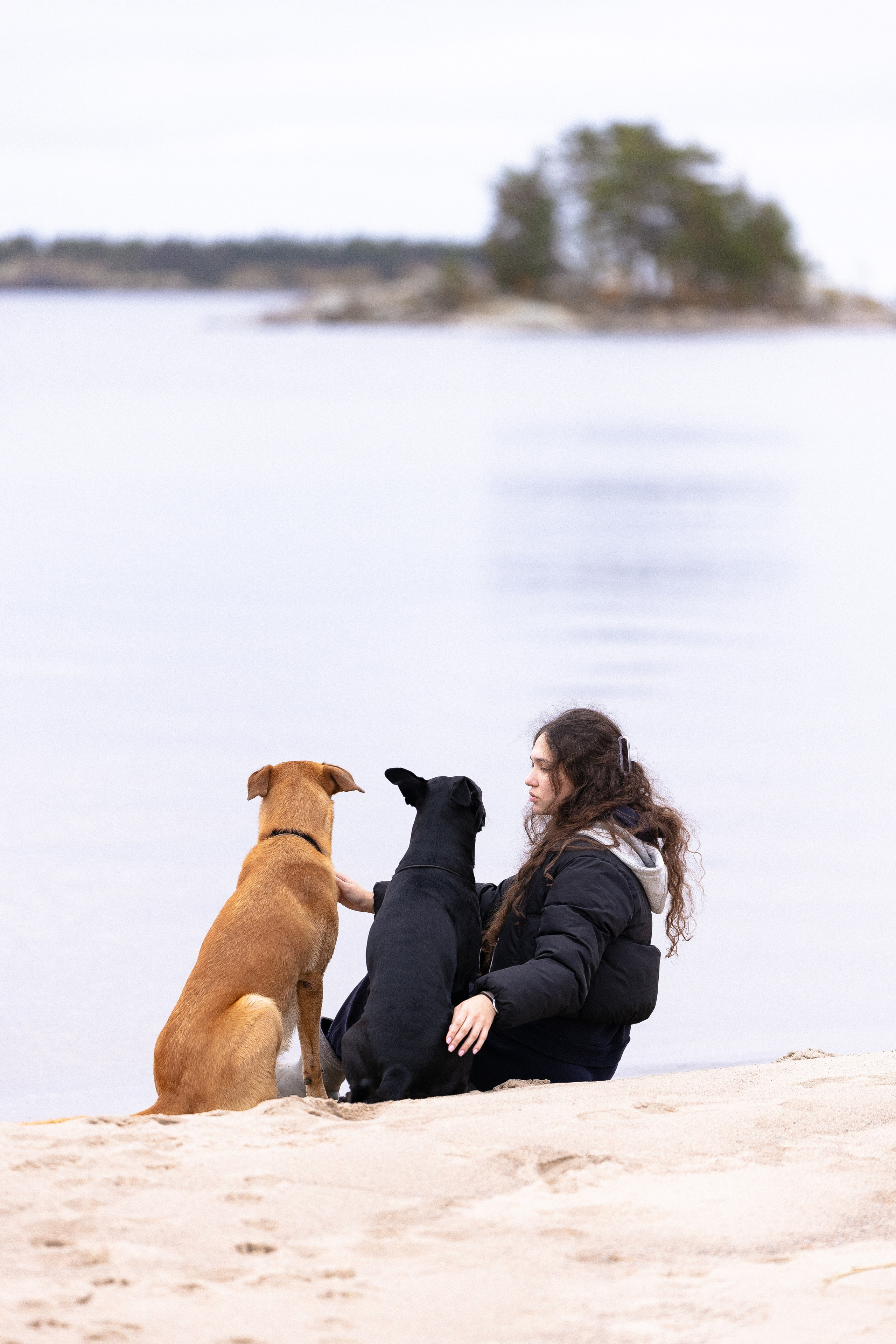 Karelia. Фотограф и видеограф анималист Аганина Дарья