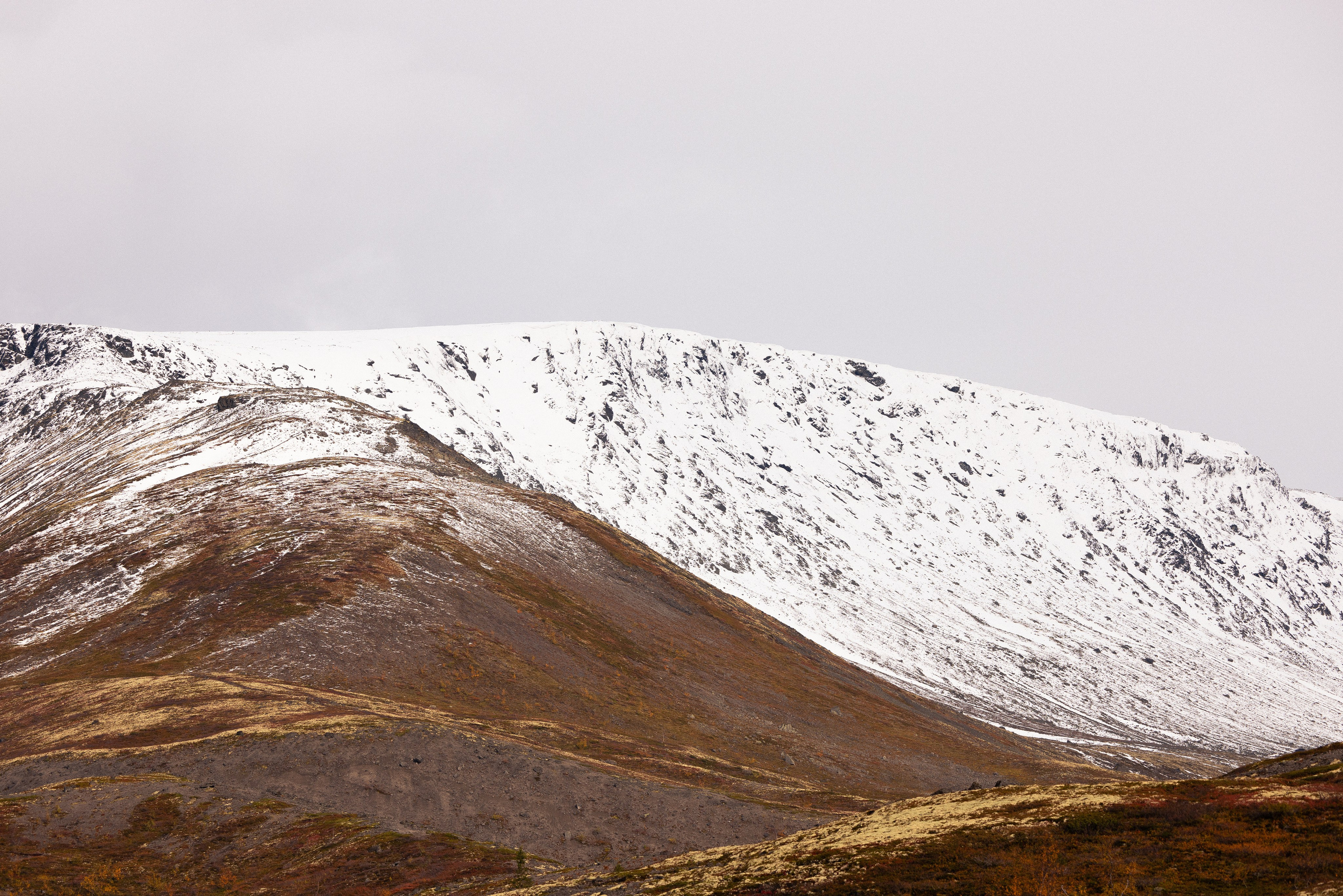 Кольский. Фотограф и видеограф анималист Аганина Дарья