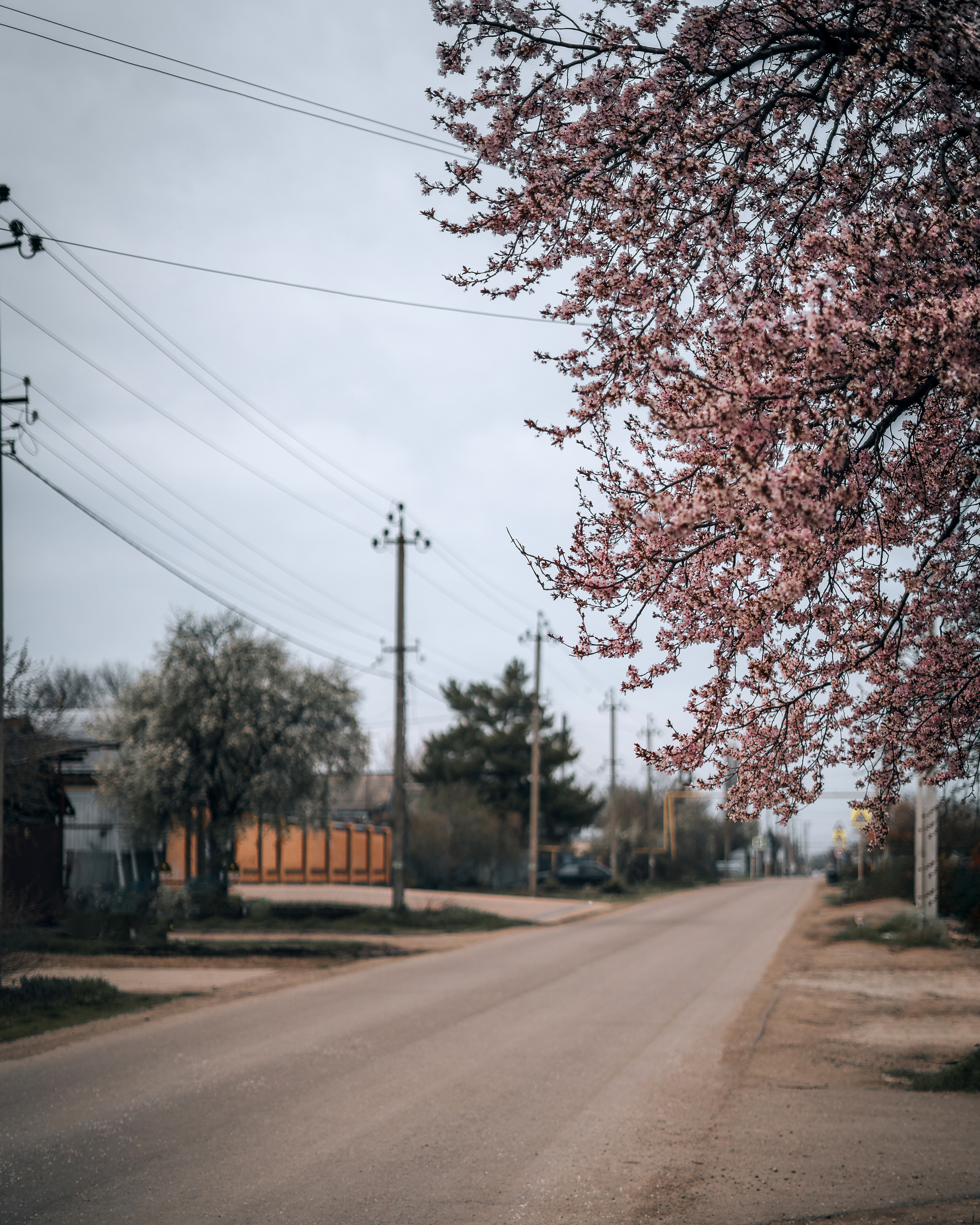 Стрит-фотография, улицы Краснодара и пригорода. Фотограф и видеограф в Новотитаровской и Краснодаре — Олег Ананко