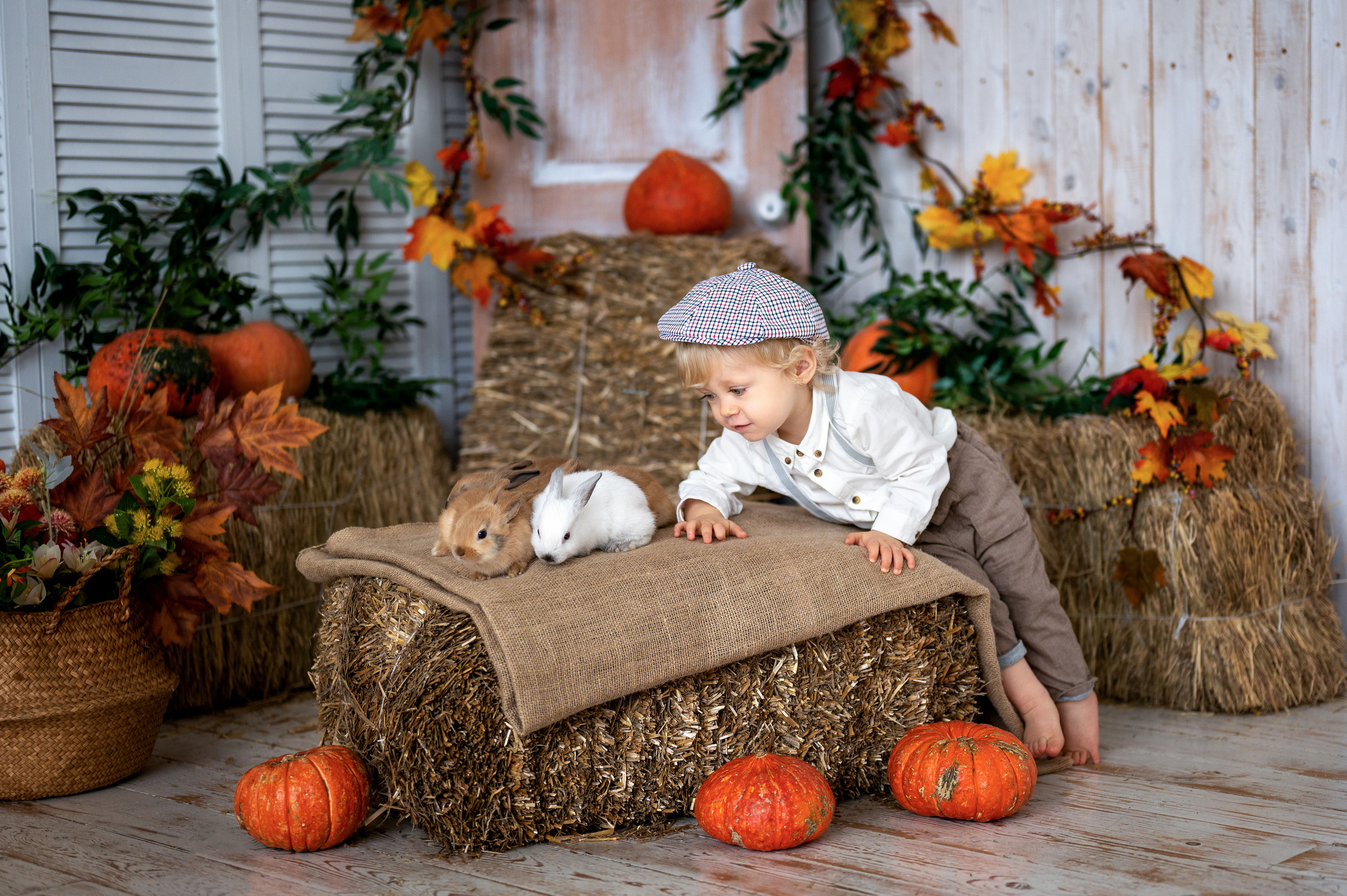 Студийная съемка малыша Артема с кроликами. Фотограф Елена Сасс Москва