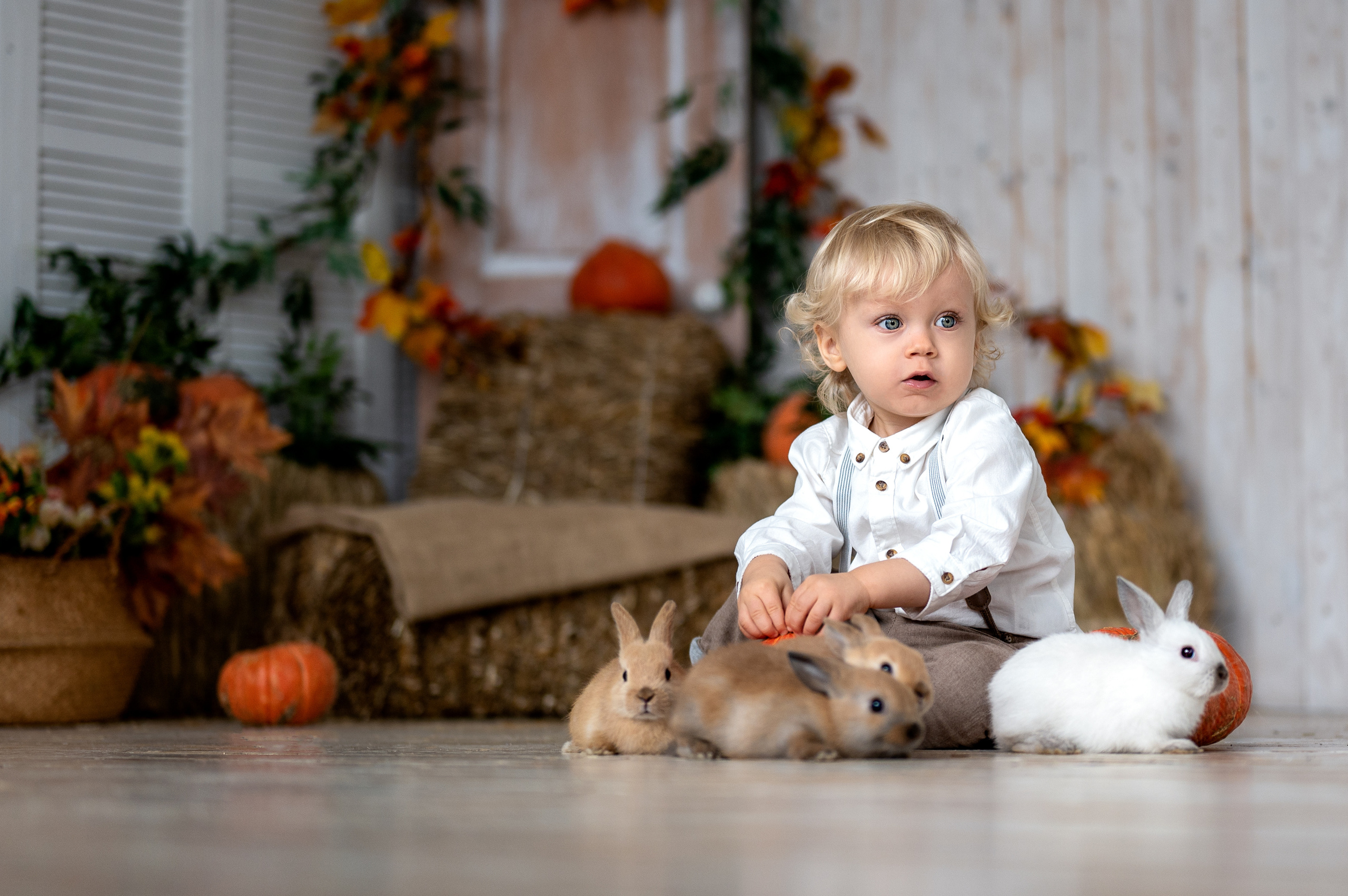 Студийная съемка малыша Артема с кроликами. Фотограф Елена Сасс Москва