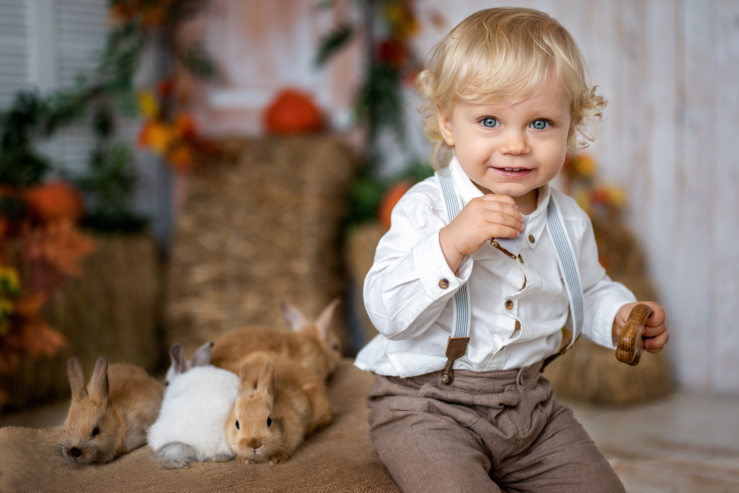 Студийная съемка малыша Артема с кроликами. Фотограф Елена Сасс Москва