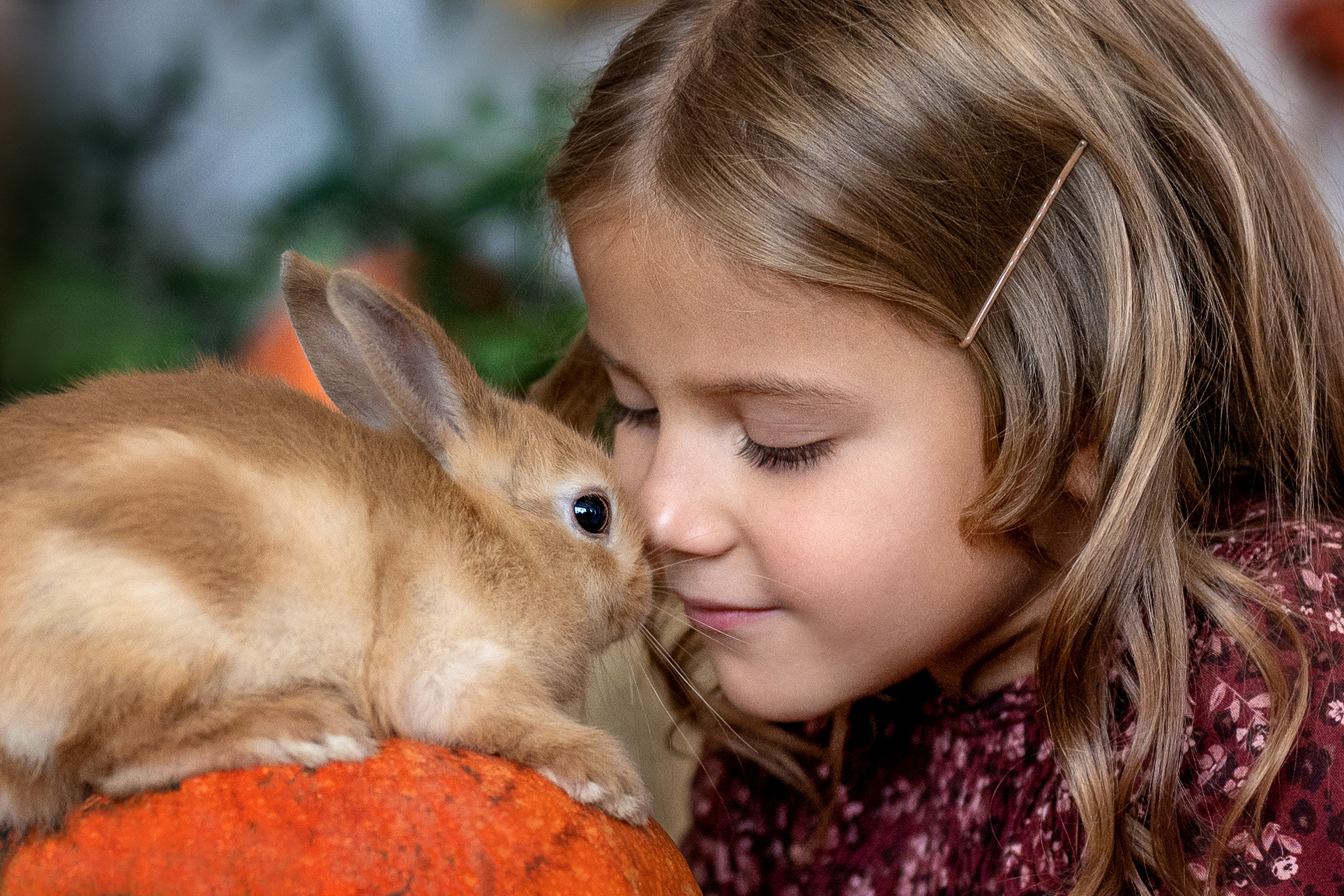 Студийная съемка Маргариты с кроликами. Фотограф Елена Сасс Москва