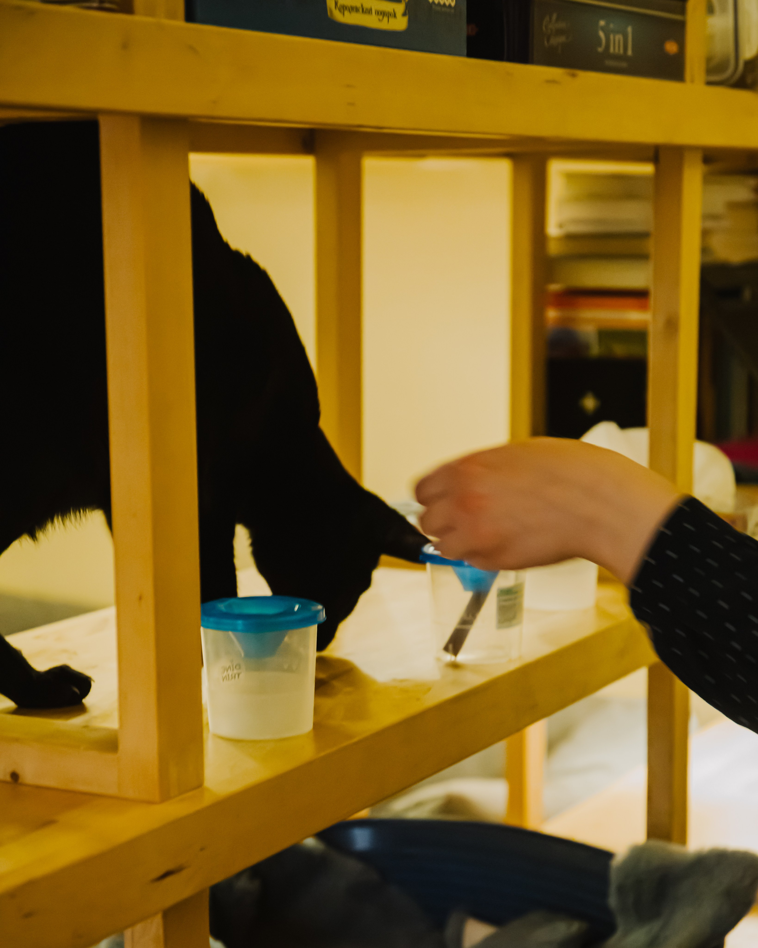 Гилдин. Портретный фотограф Ванинен Анастасия. Санкт-Петербург