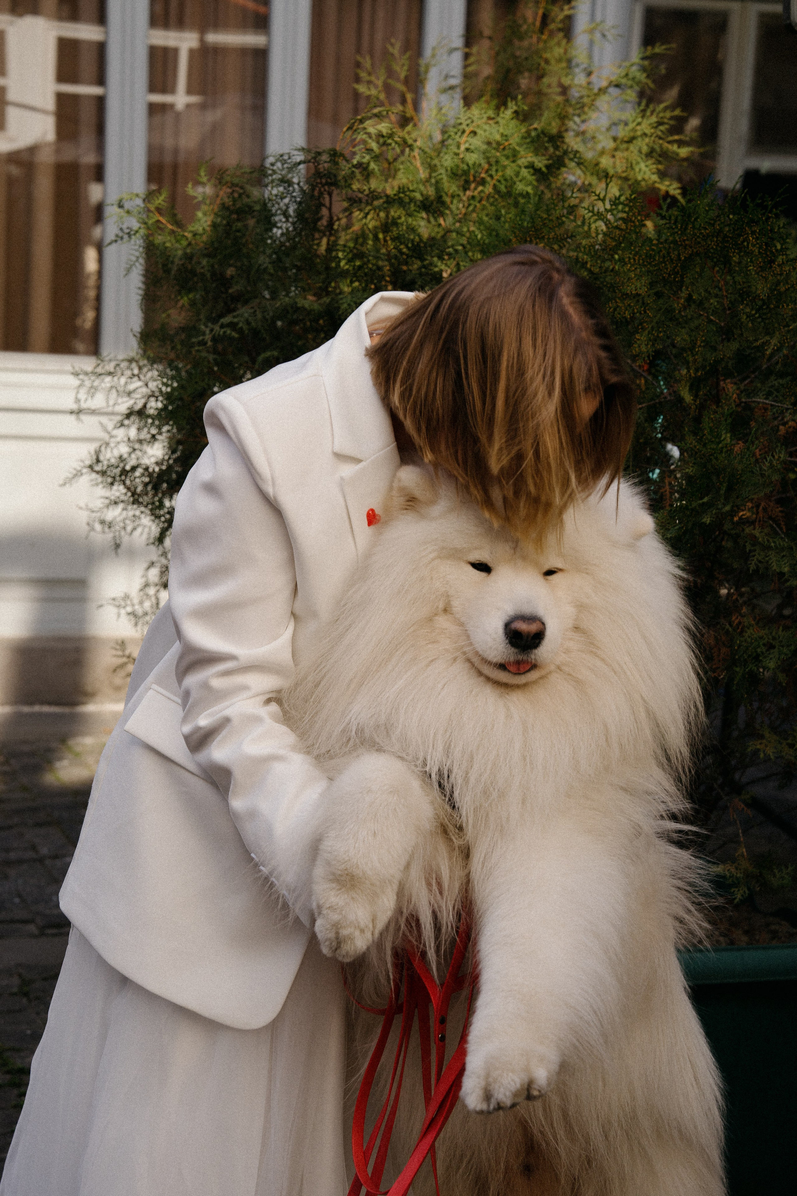 Пушистый свидетель