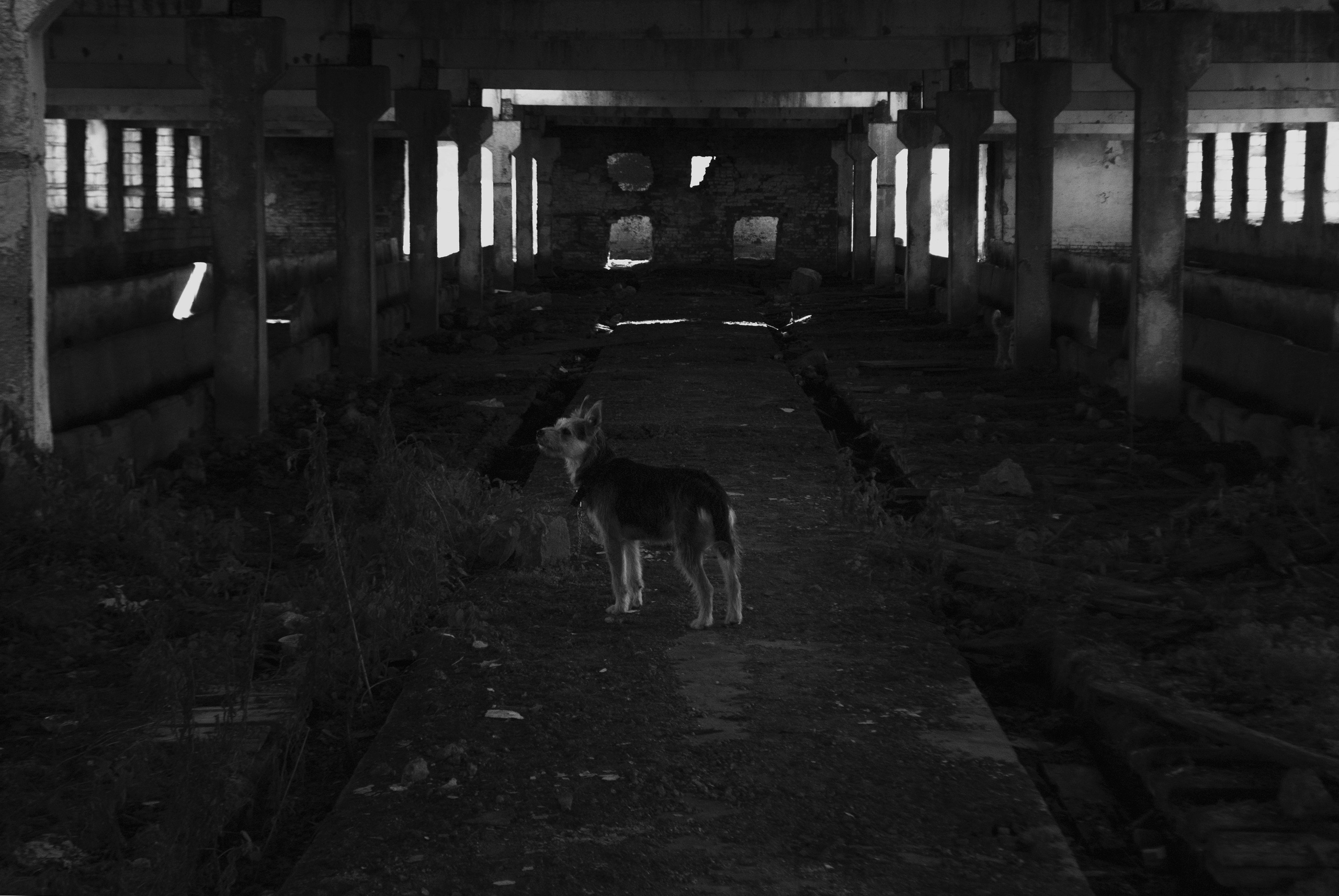 Индустрия. Уральский фотограф