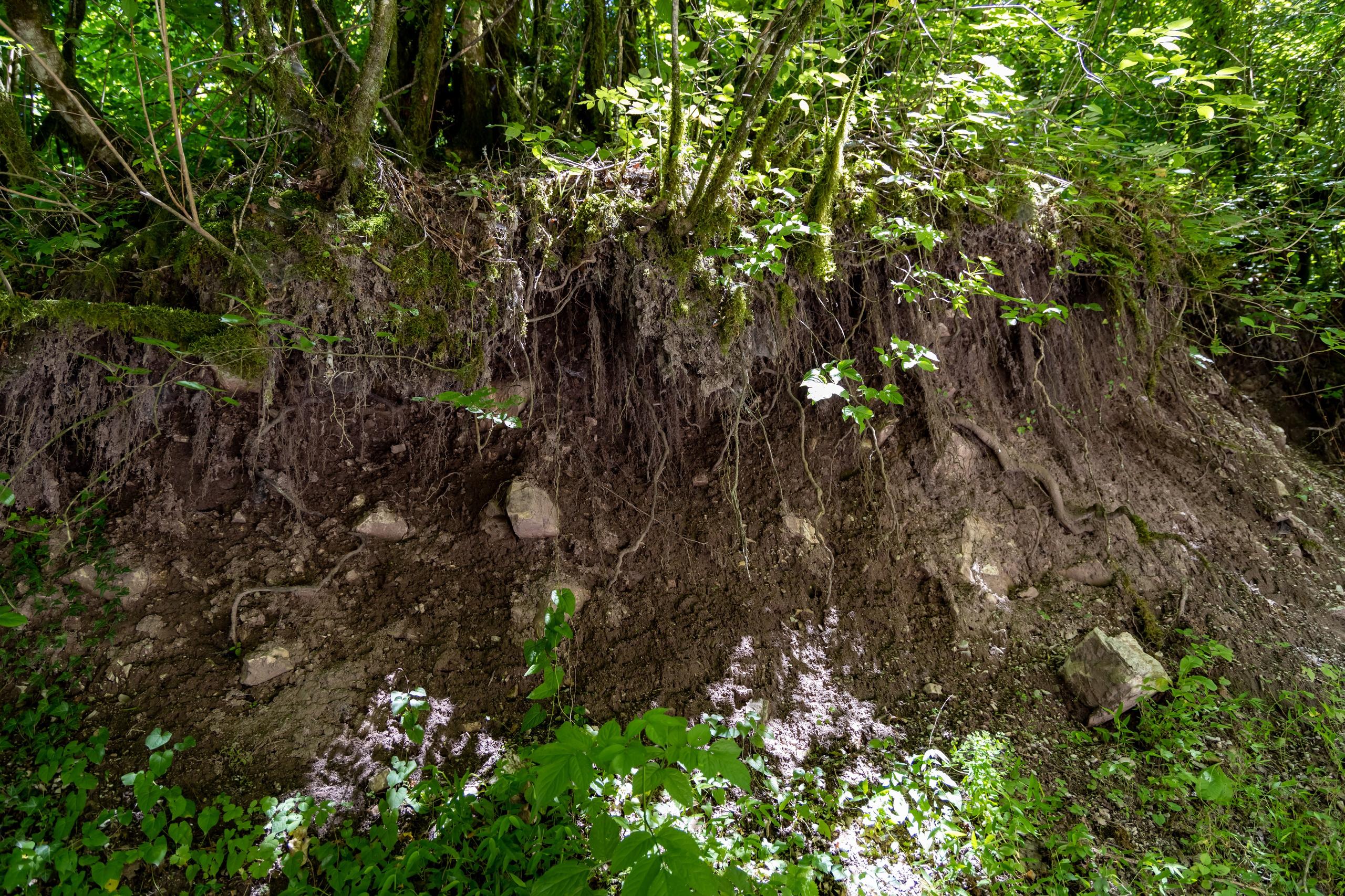 Сочи. Солох Аул. Репортажный, семейный и студийный фотограф в Москве Демин Алексей