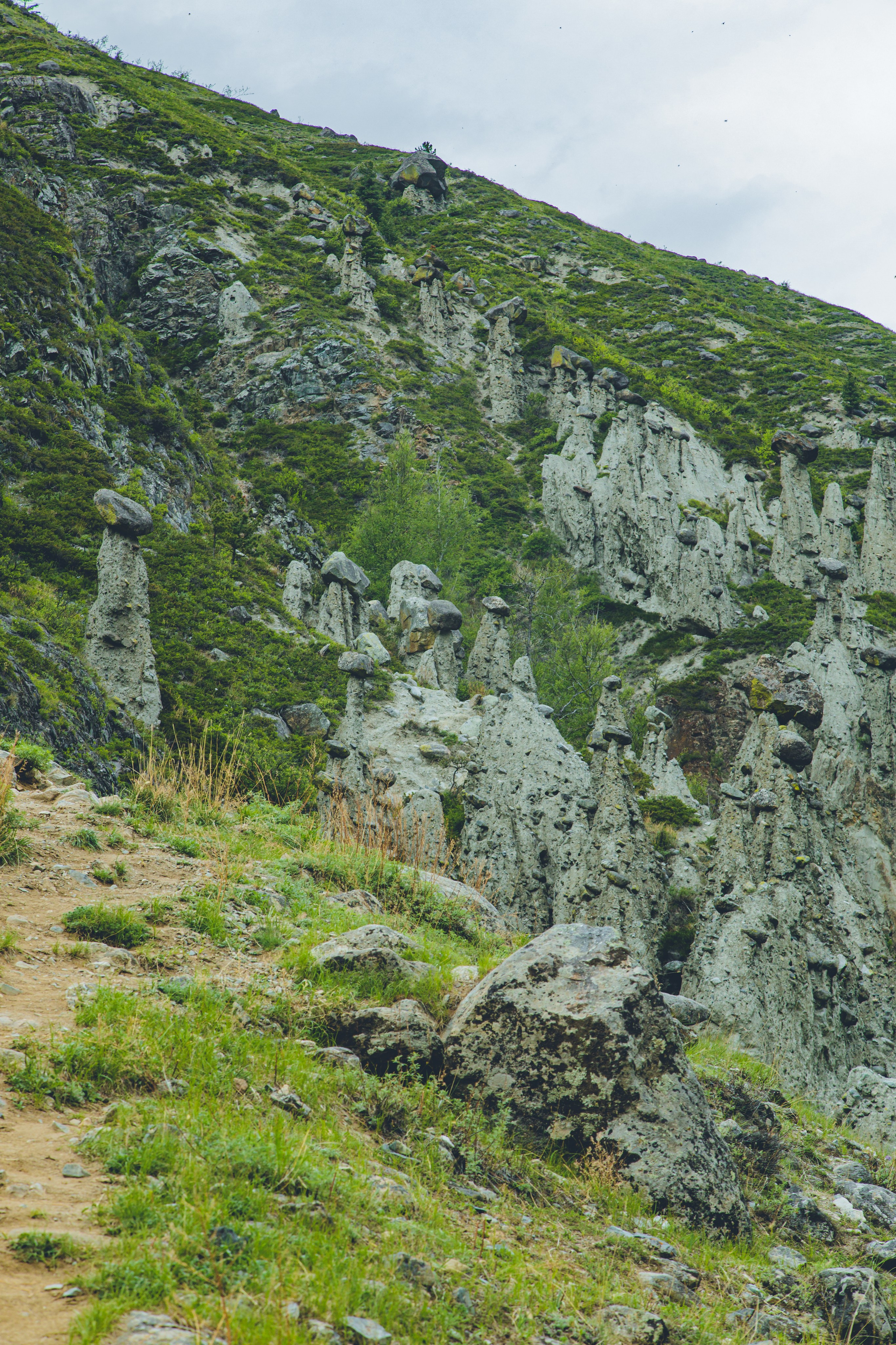 Алтай (май 2024). Фотограф ваших событий в Красноярске — Макс Захарченко