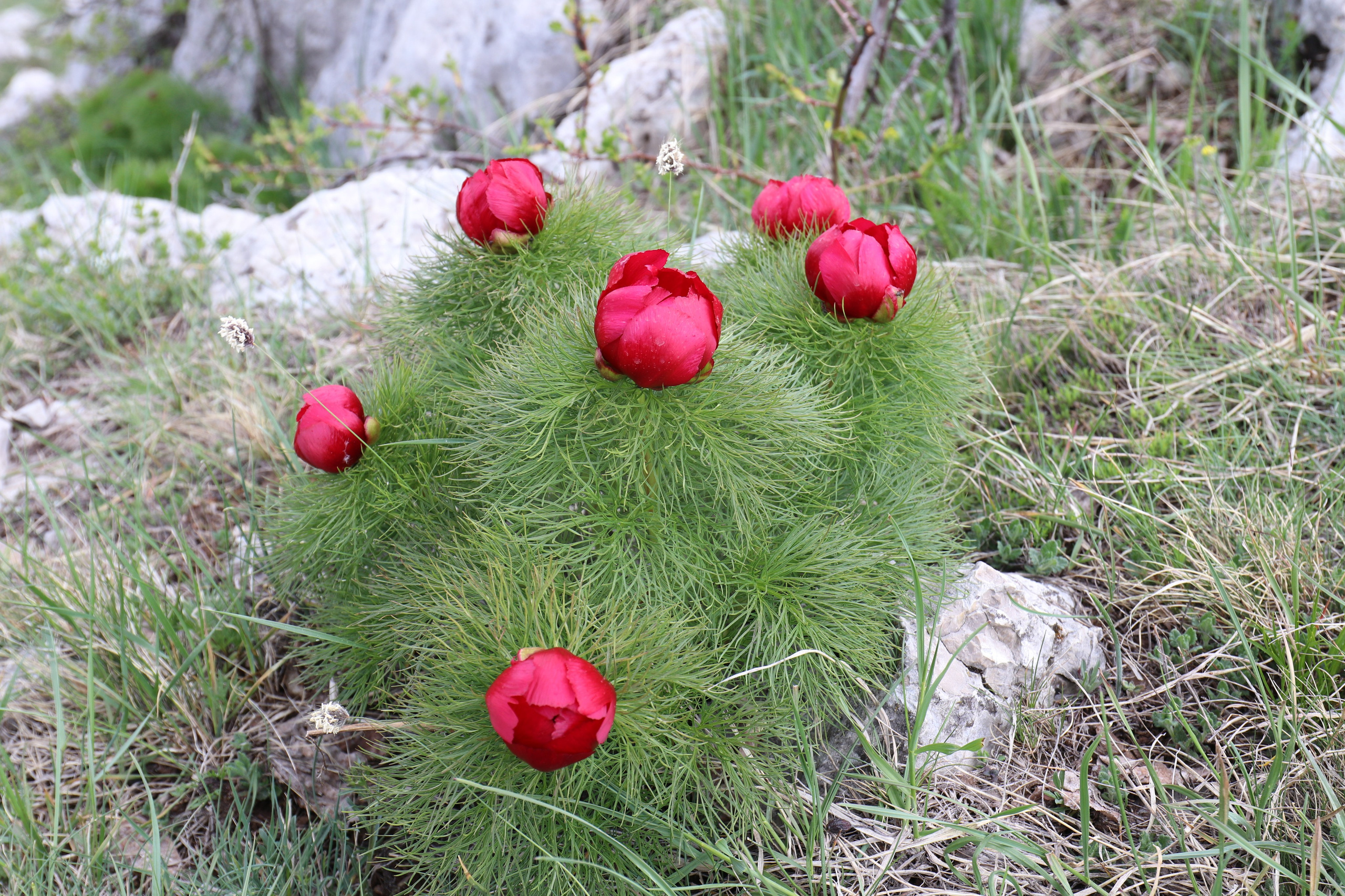 Крым. ЮБК (Бахчисарай, Демерджи, Судак). Первый скалолазный выезд. Май 2019. Путешественник-фотограф из Санкт-Петербурга Татьяна Свистулина