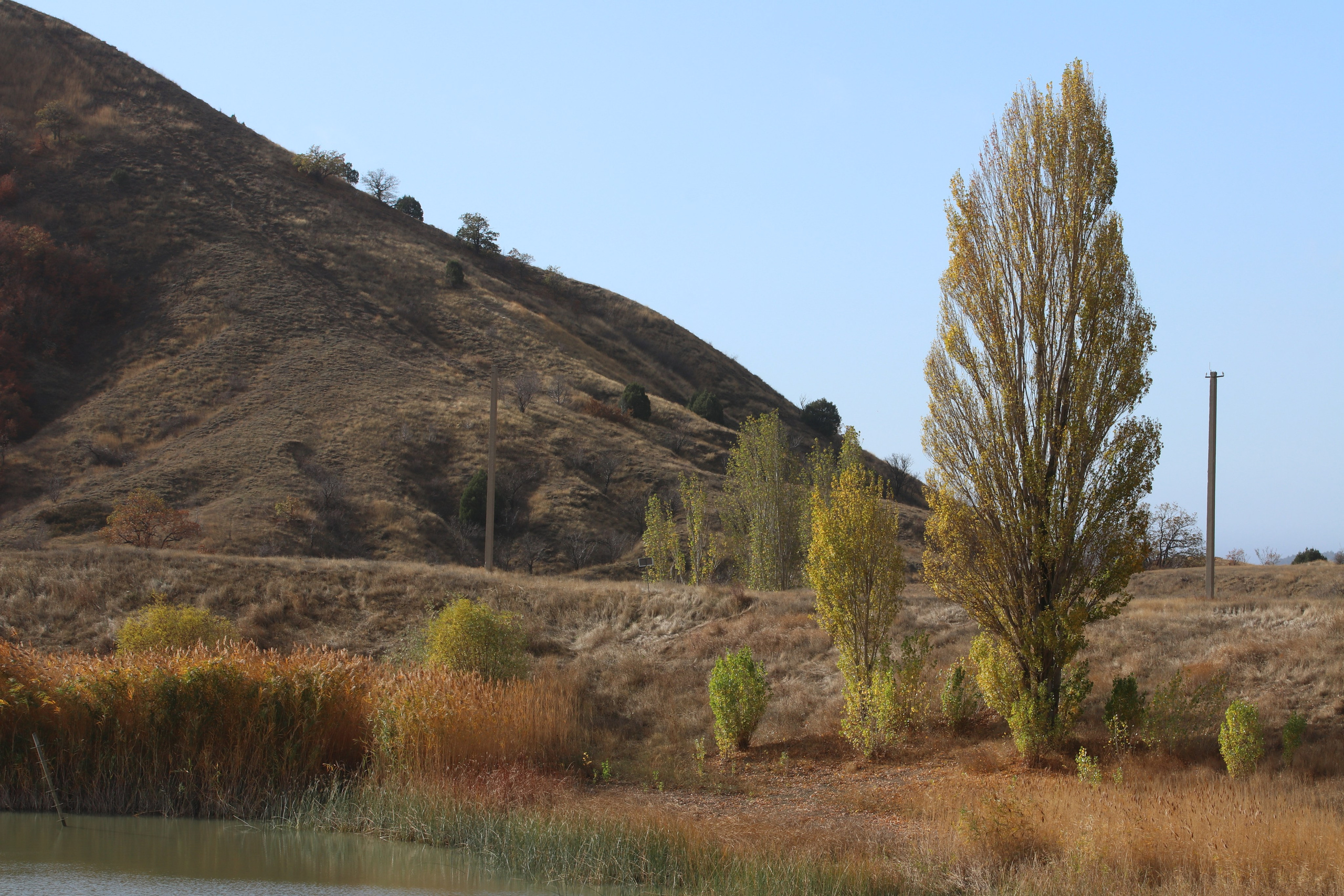 Крым. ЮБК (Гурзуф, Судак и их окрестности). Ноябрь 2023. Путешественник-фотограф из Санкт-Петербурга Татьяна Свистулина