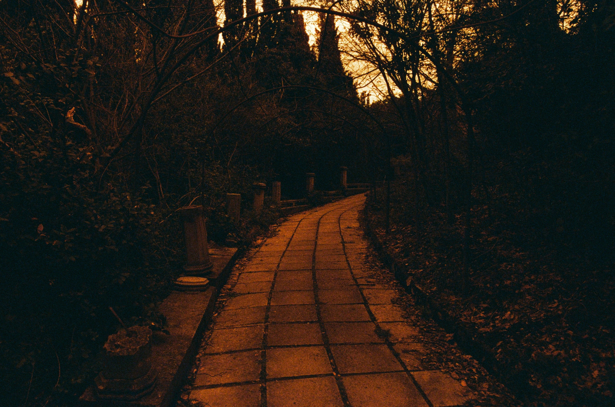 Sakura blues // ukraine, crimea VIII. EVER EXPOSED