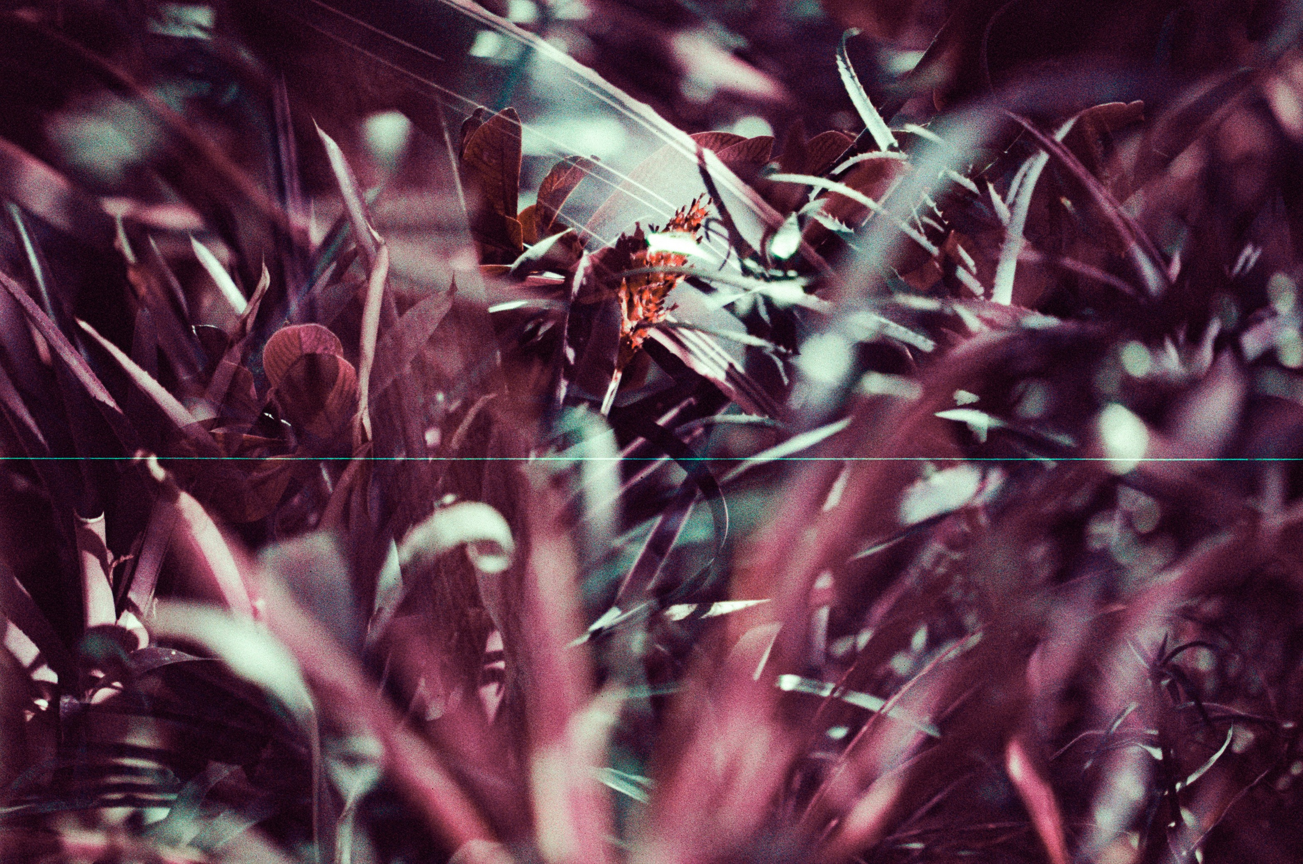 Pain shopping // ukraine, crimea II. EVER EXPOSED