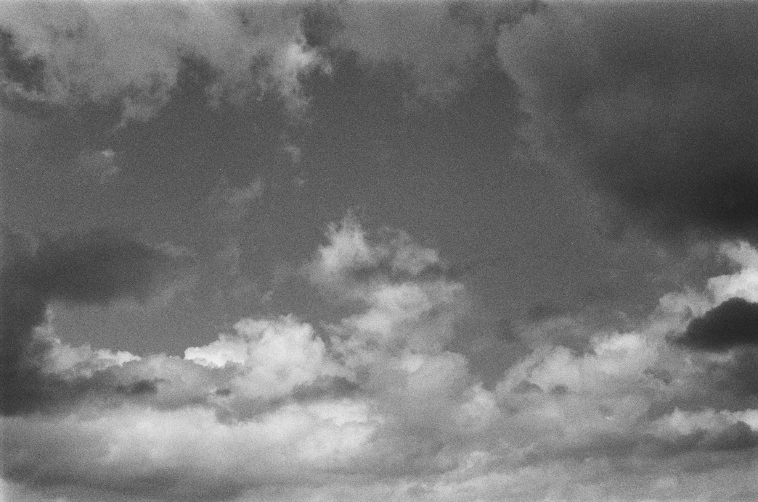 Move me // ukraine, crimea III. EVER EXPOSED