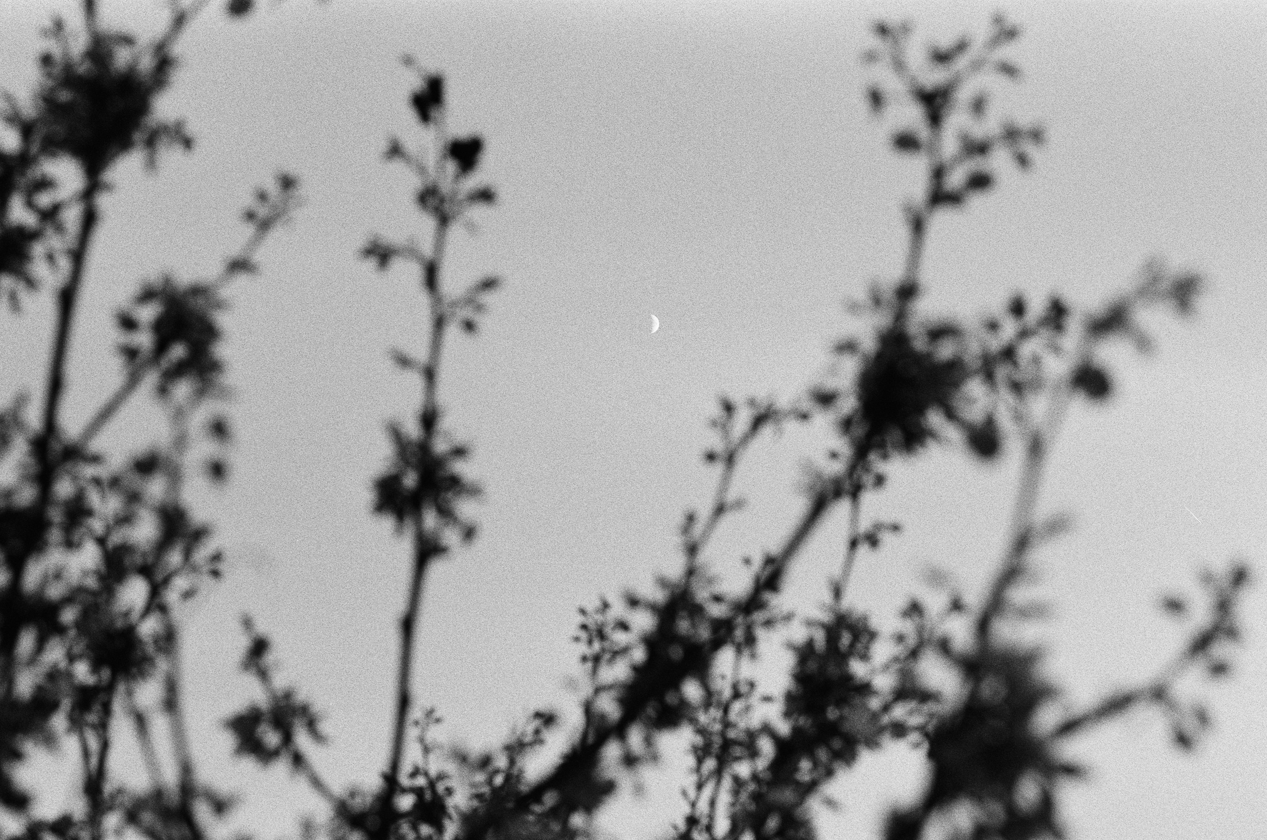 Oblomki chuvstv // ukraine, crimea V. EVER EXPOSED