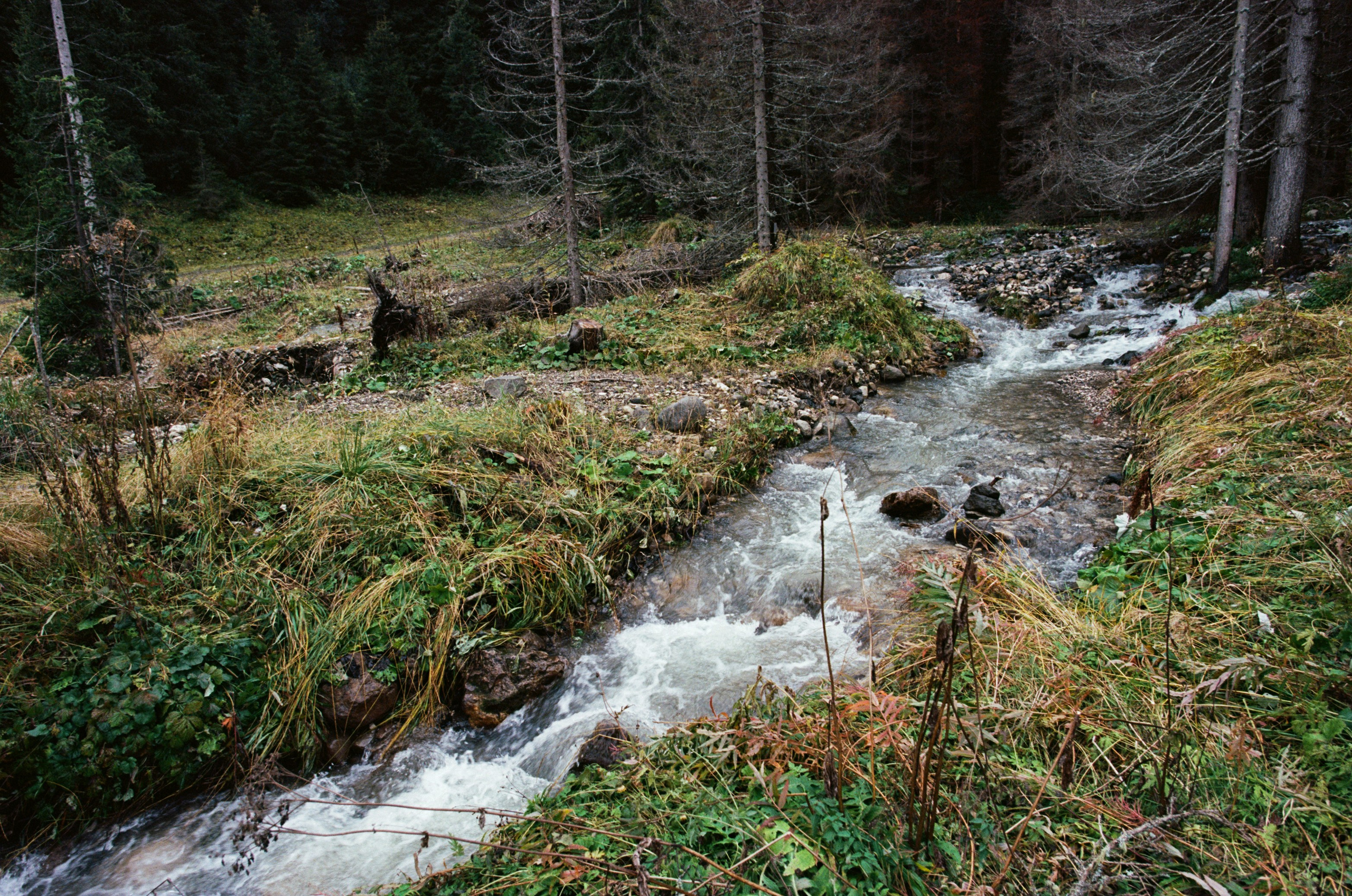 Are you coming // italy, dolomites II. EVER EXPOSED