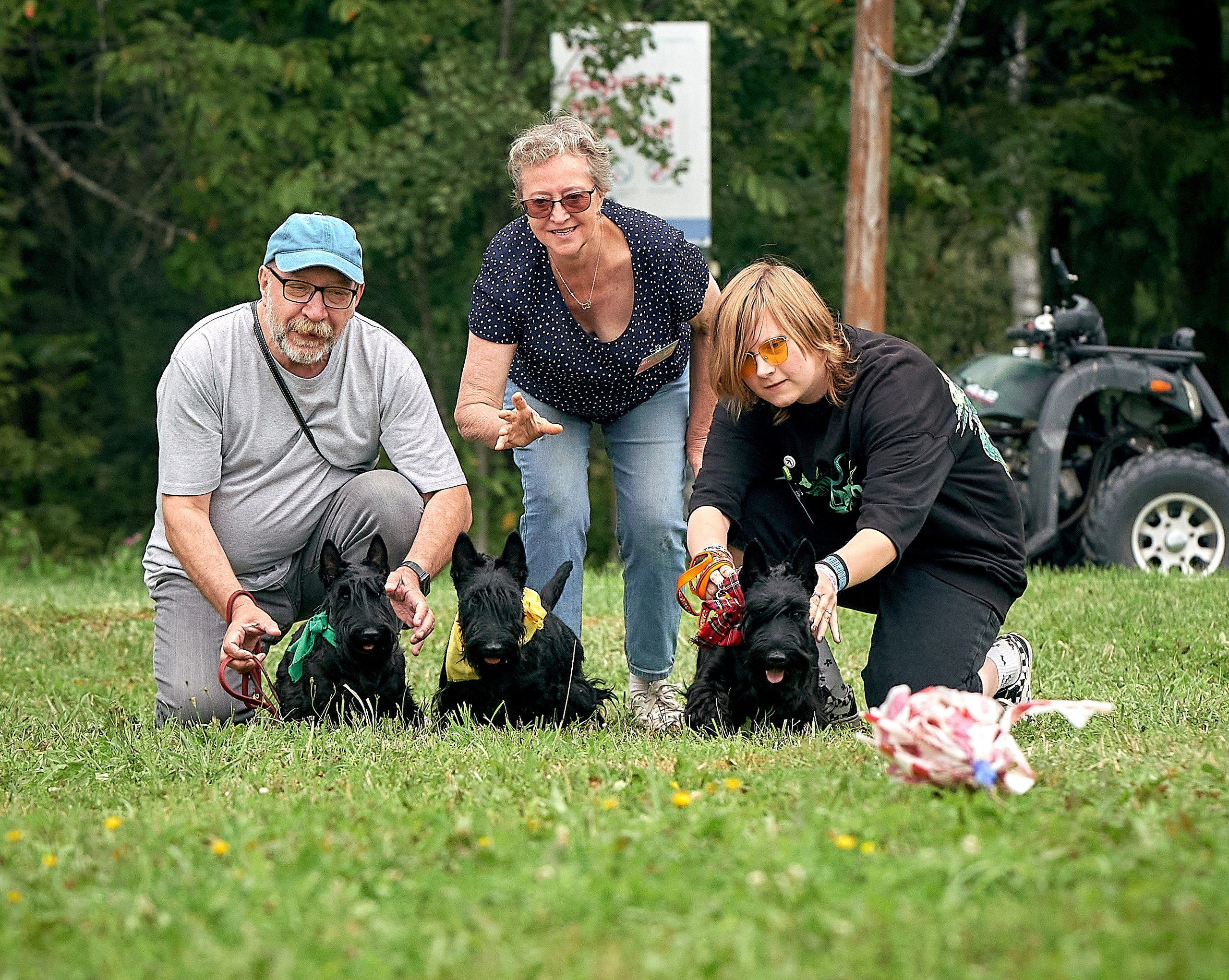 Мероприятия с собаками — галерея NATRIEL